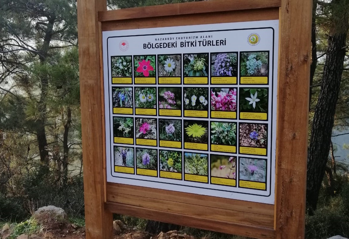 Nazarköy Ekoturizm Alanı