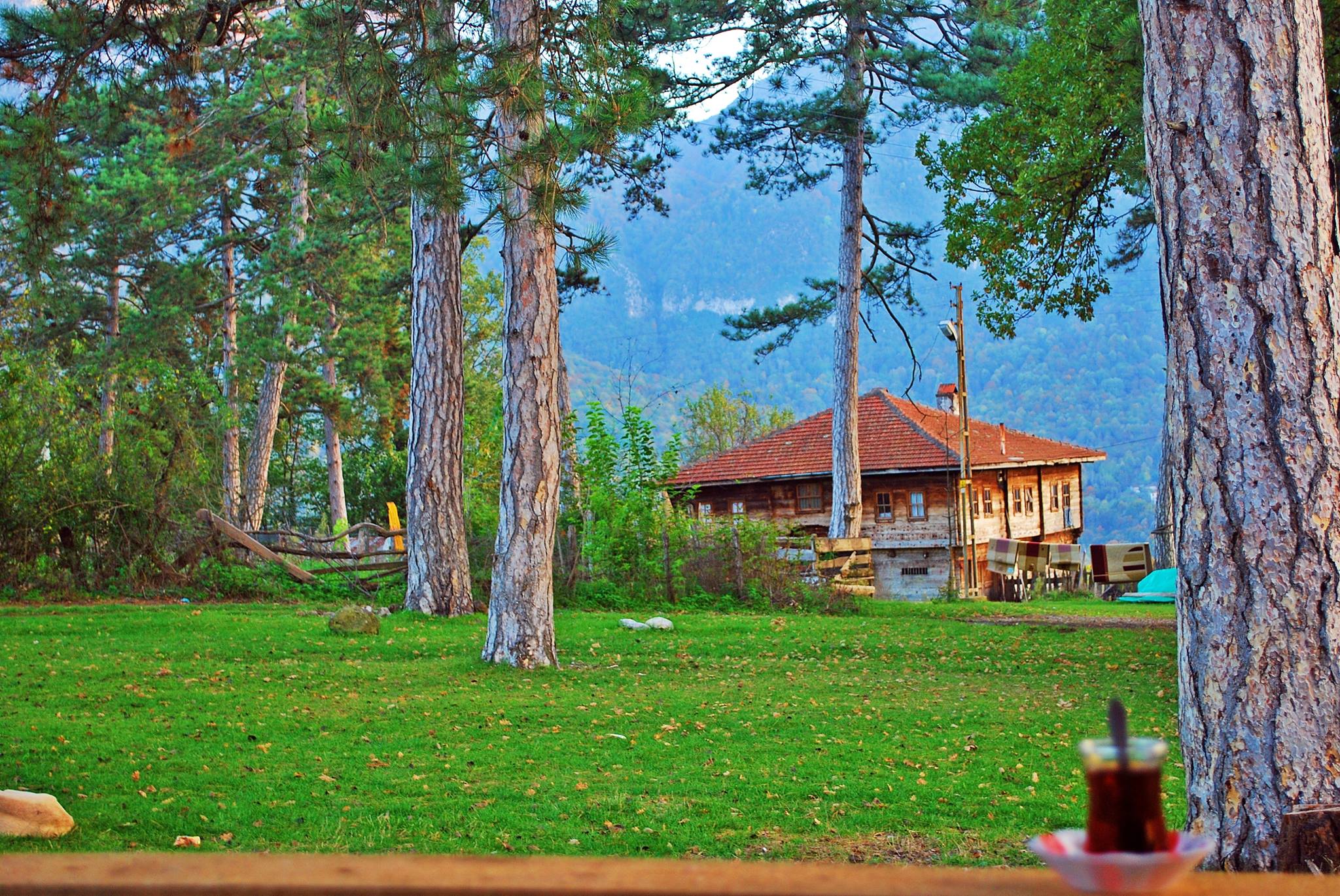Yenice Göktepe Ekoturizm Alanı