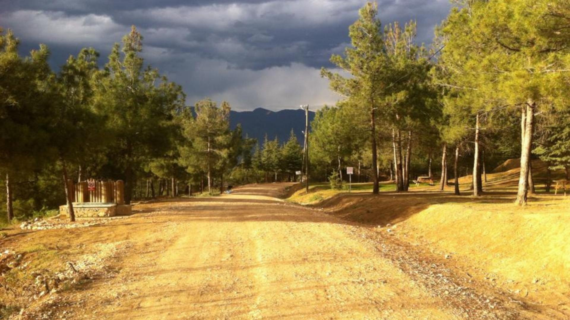 Üçtepeler Orman Parkı