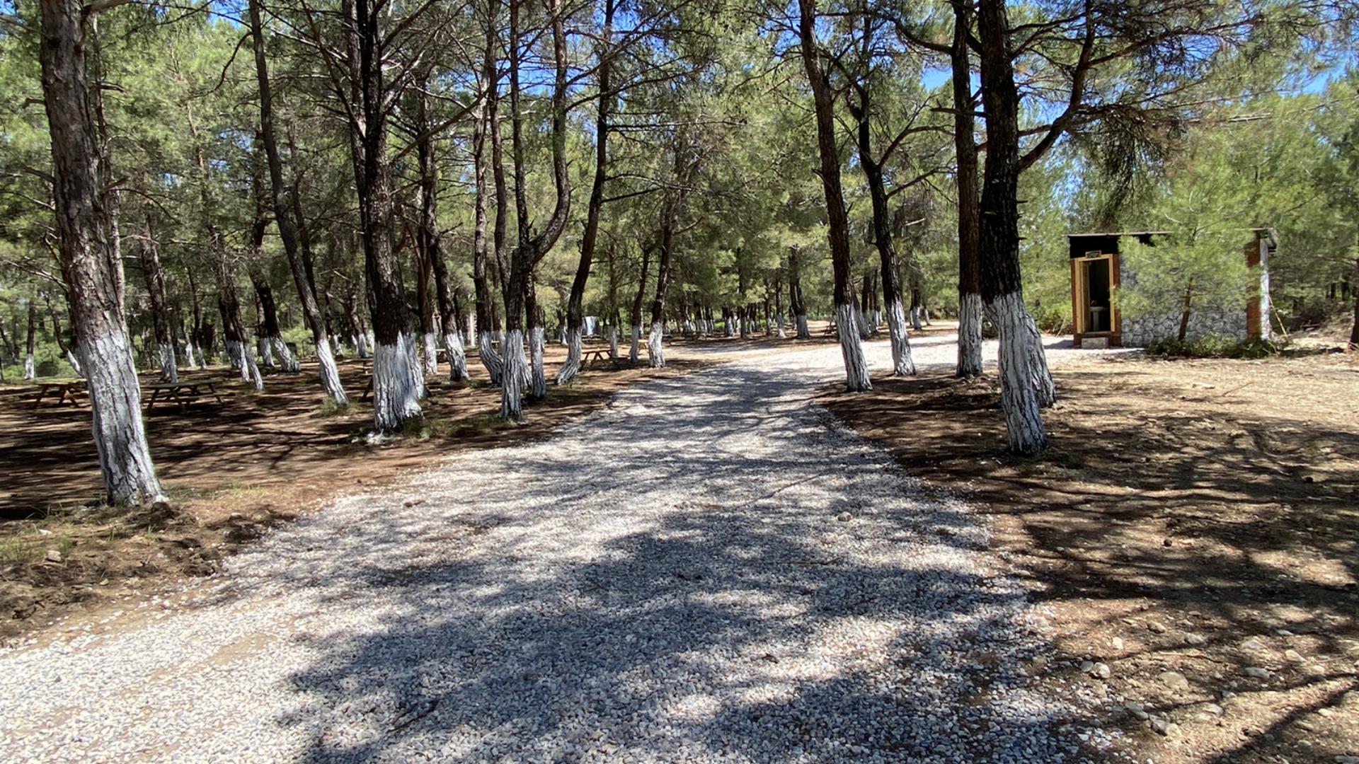Yakaköy Orman Parkı