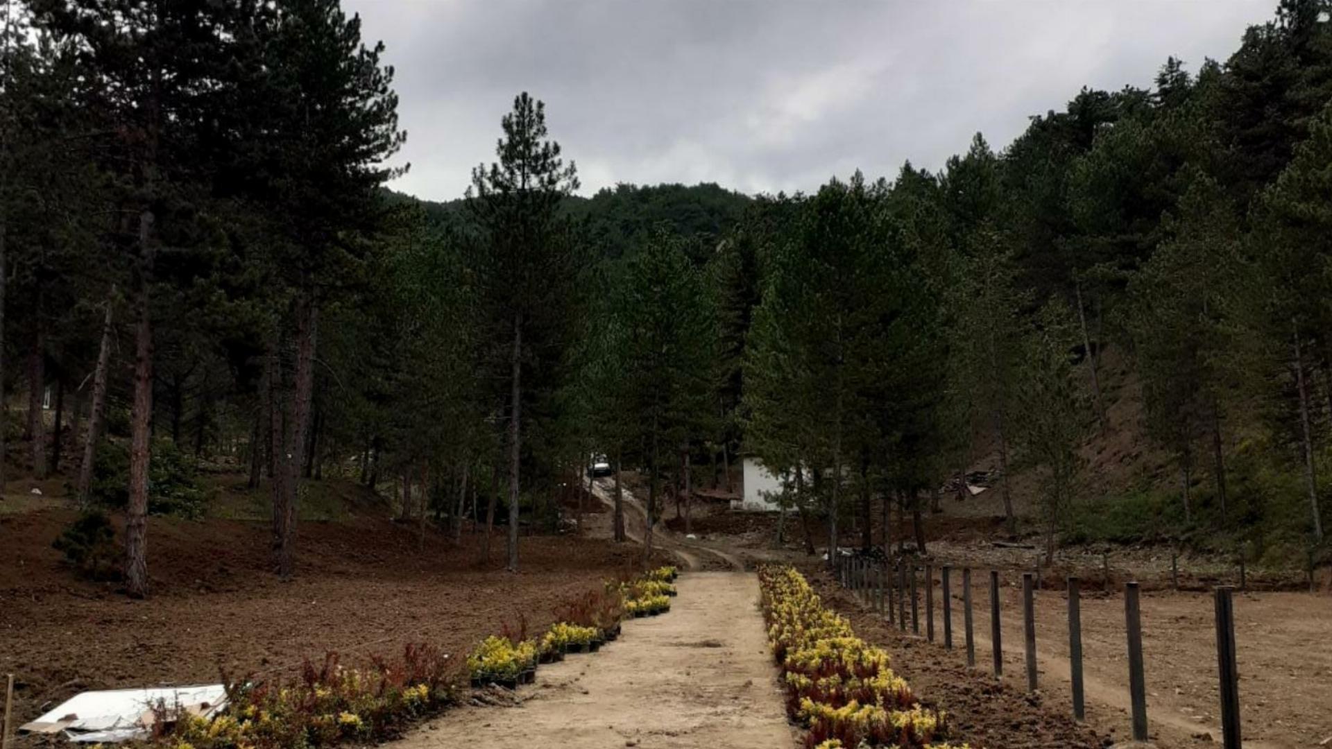 Bülbül Pınarı Orman Parkı
