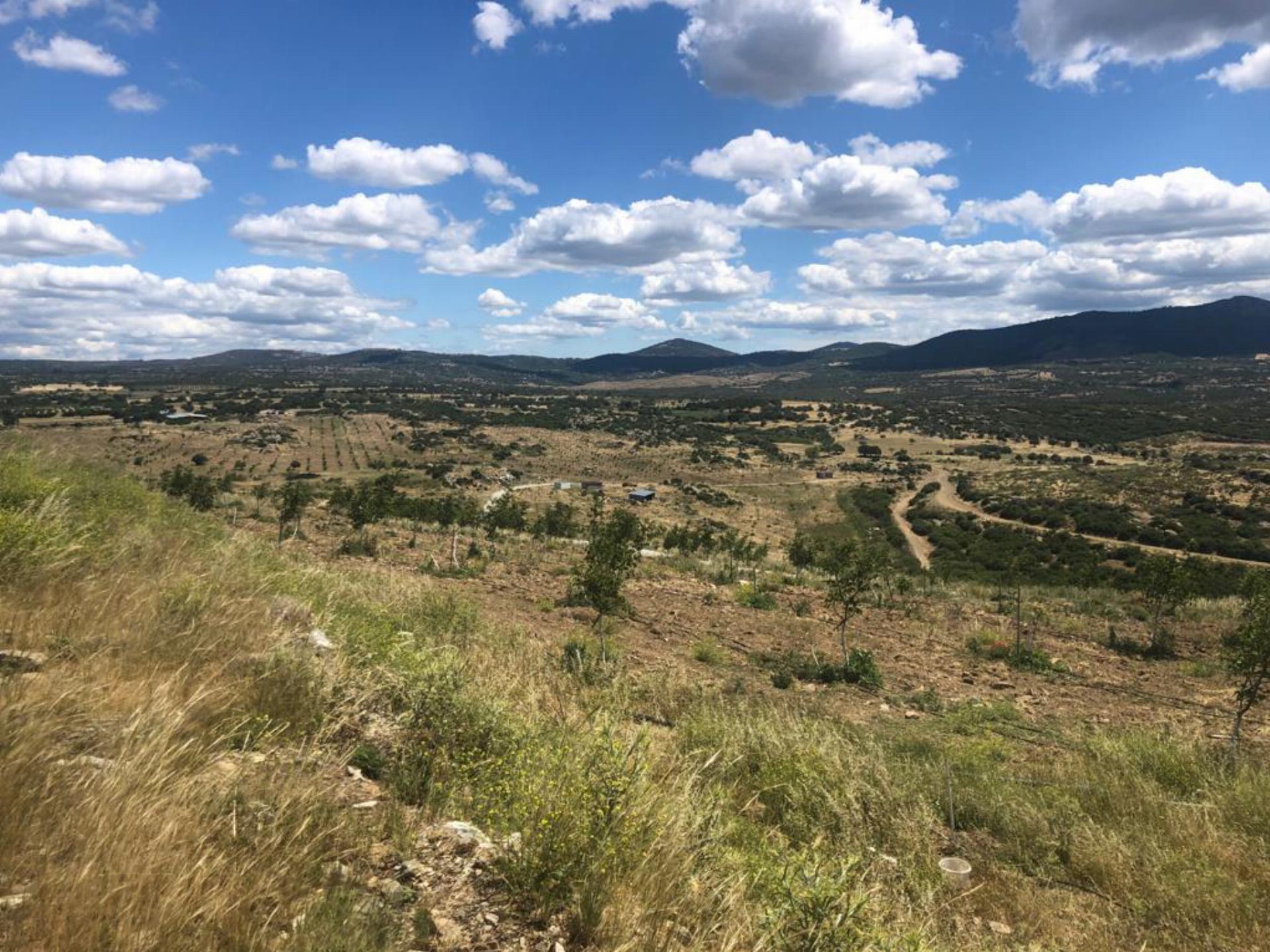 Alemşah  Orman Parkı