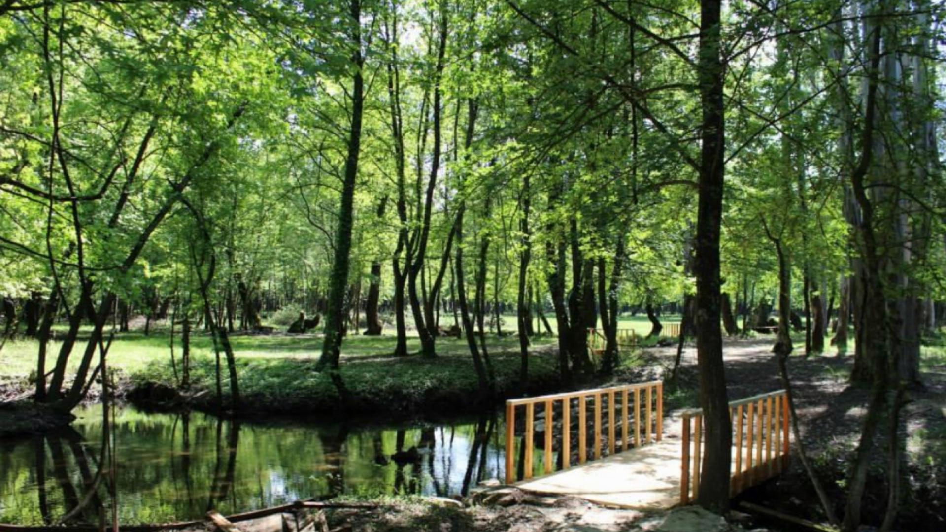 Kazancı Orman Parkı