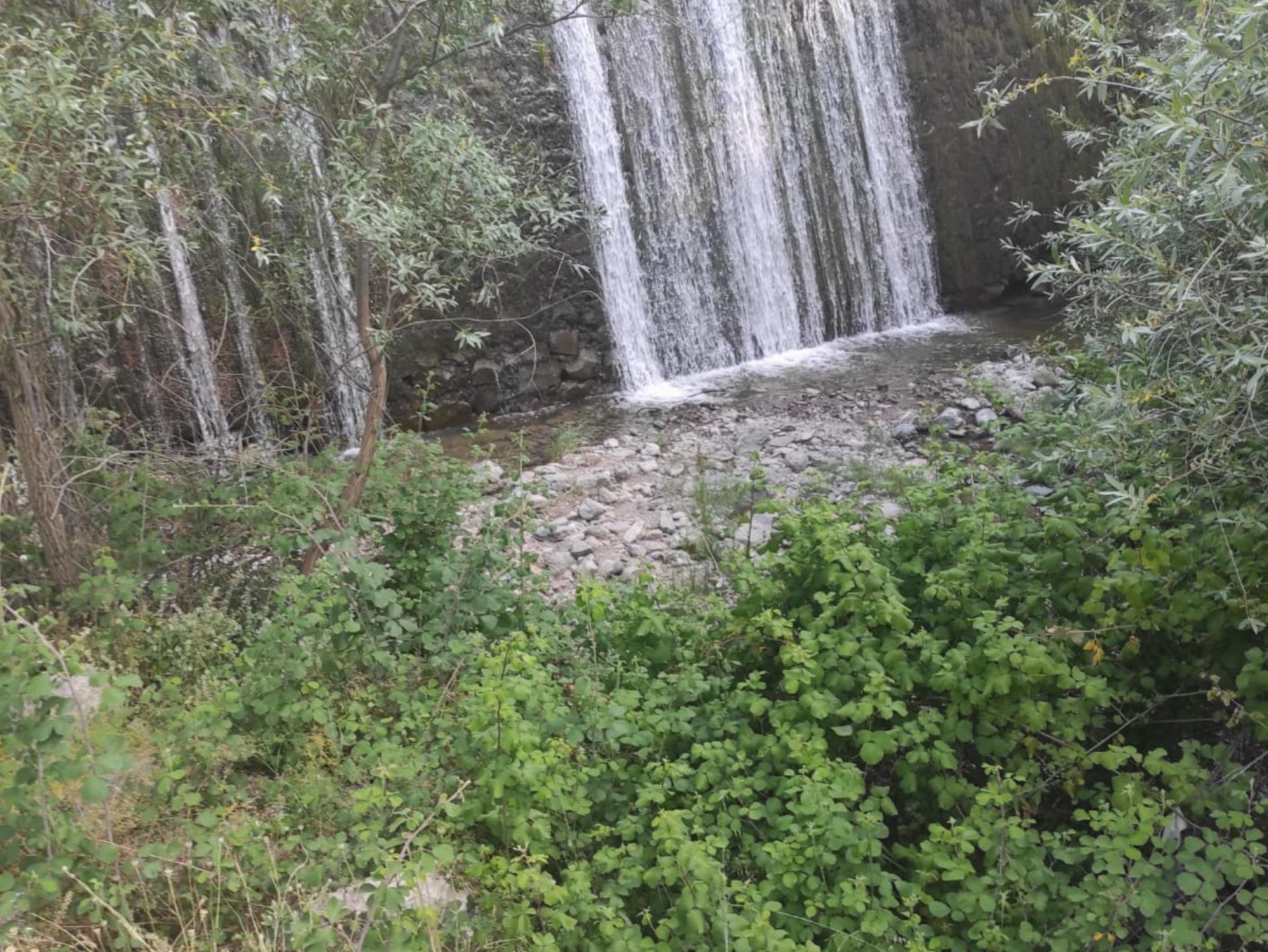 Sakarıılıca Orman Parkı