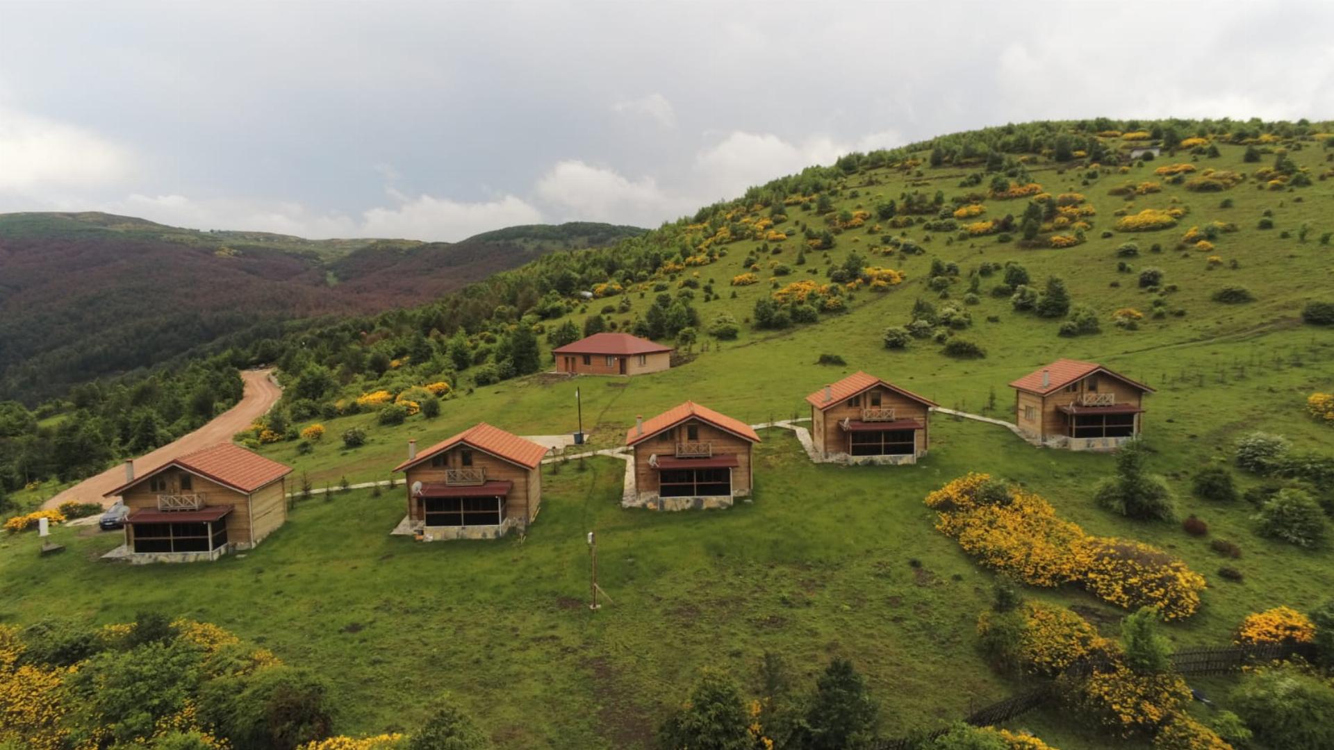 Perşembe Yaylası Orman Parkı