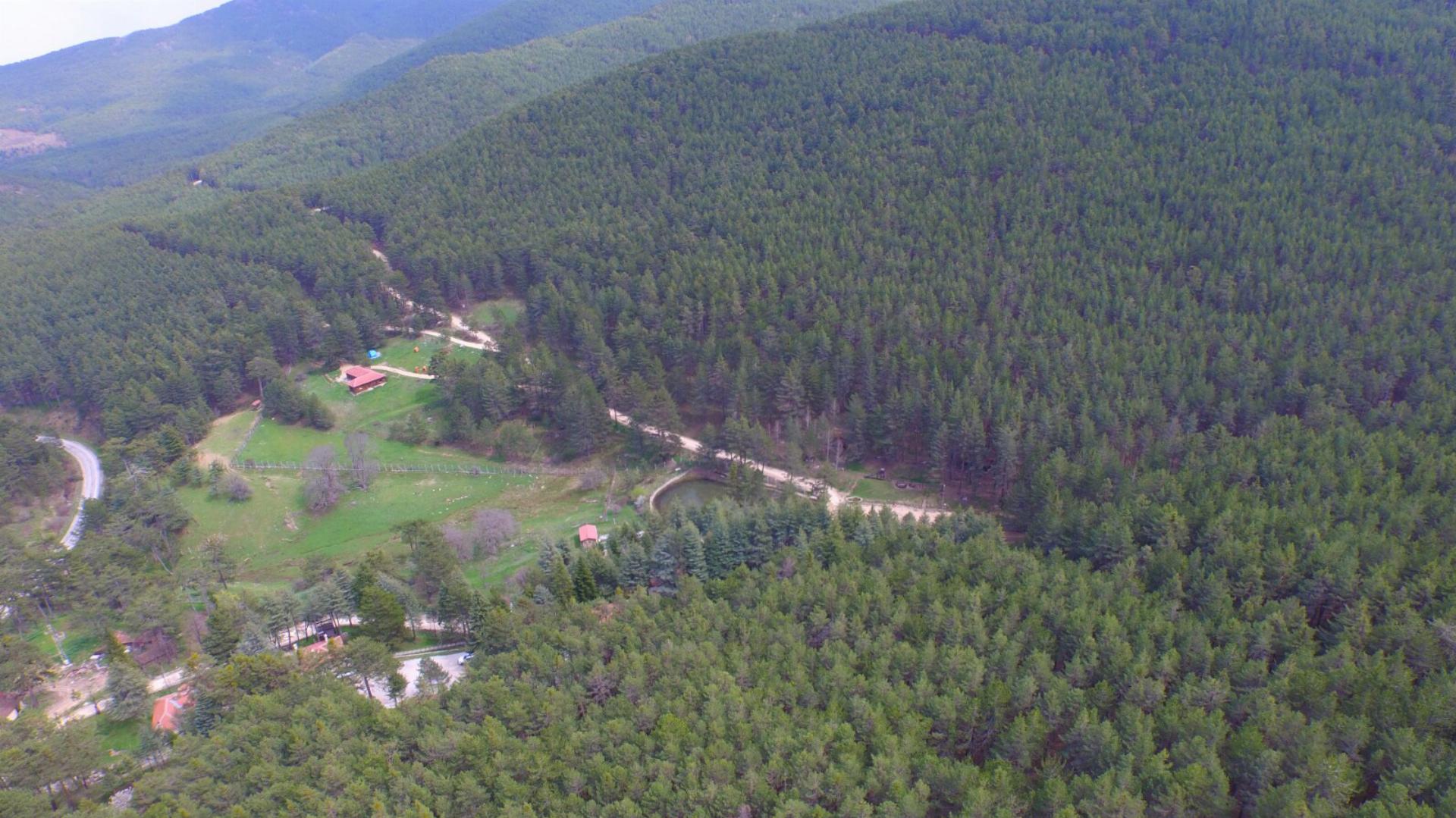Çatacık Orman Parkı