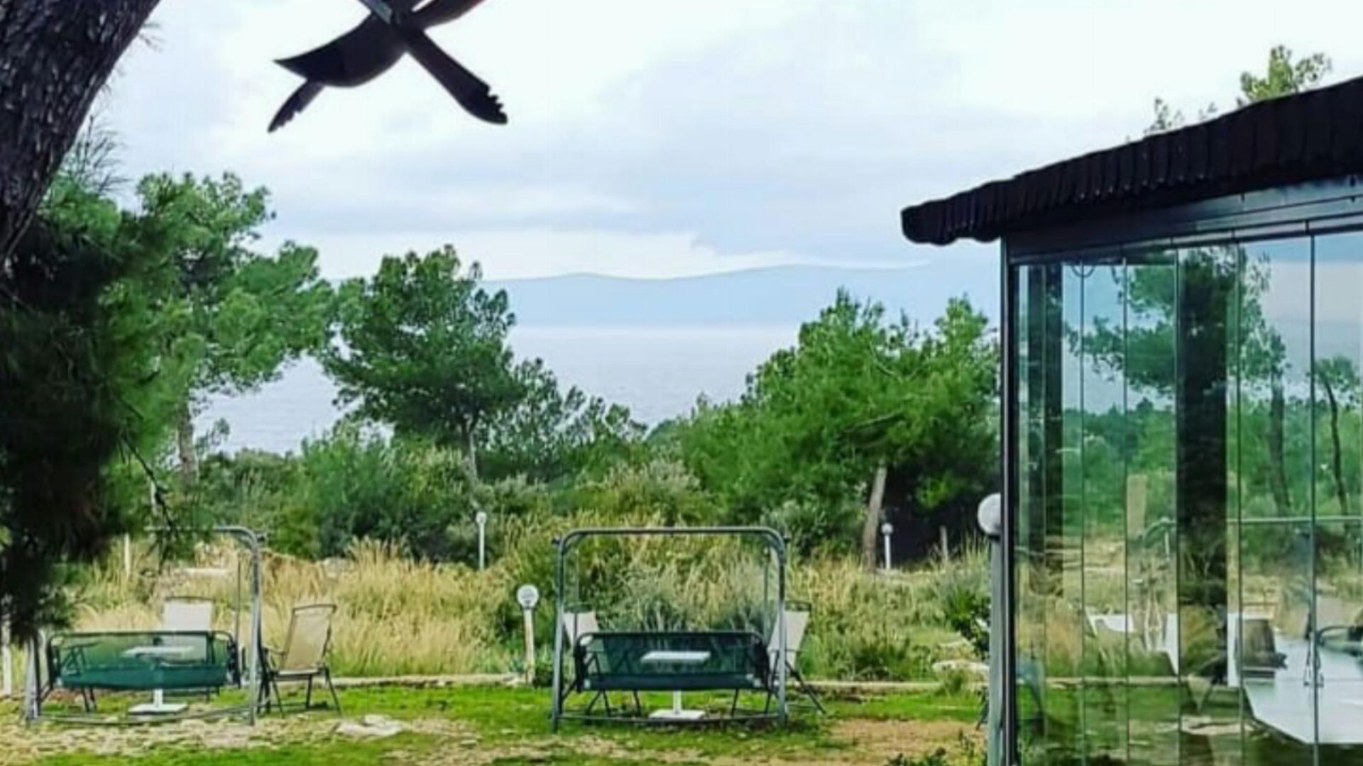 Teos Çamlık Orman Parkı