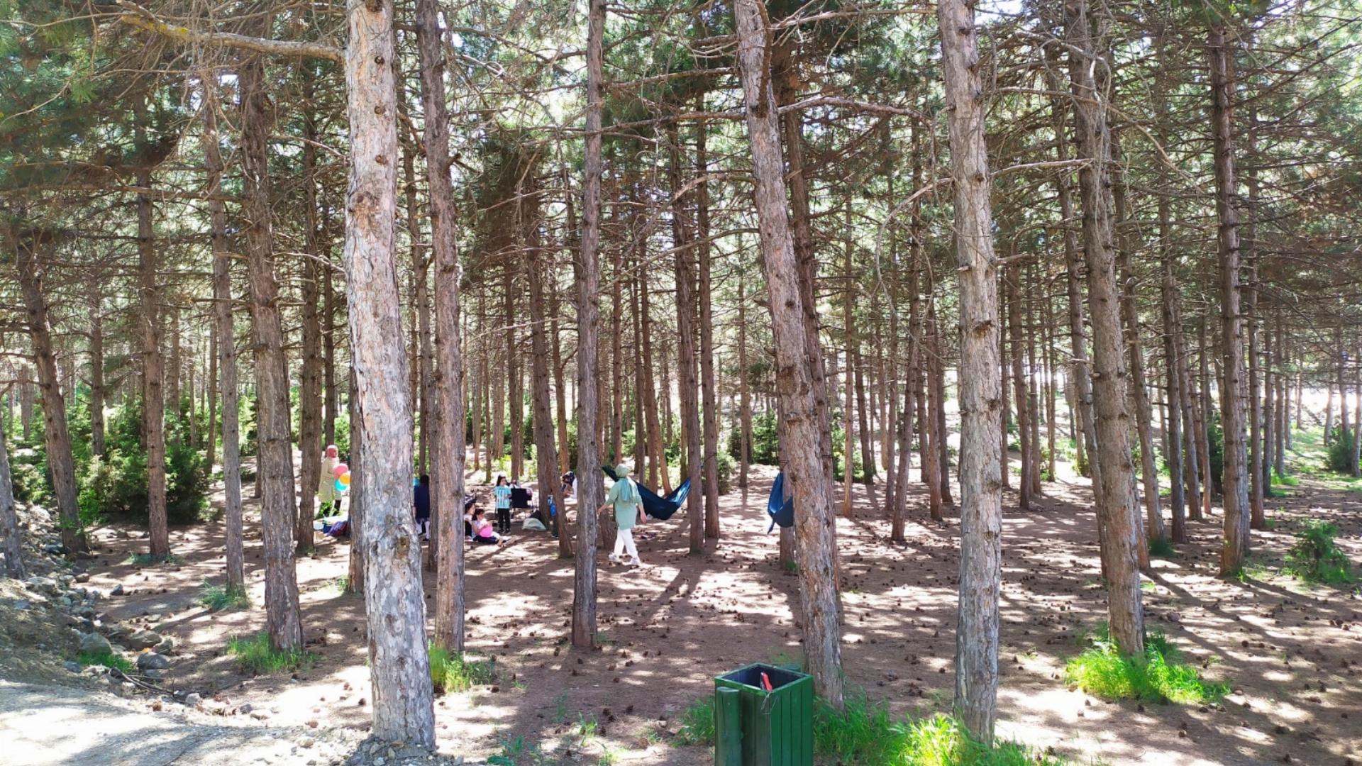 Eskişehir Orman Parkı