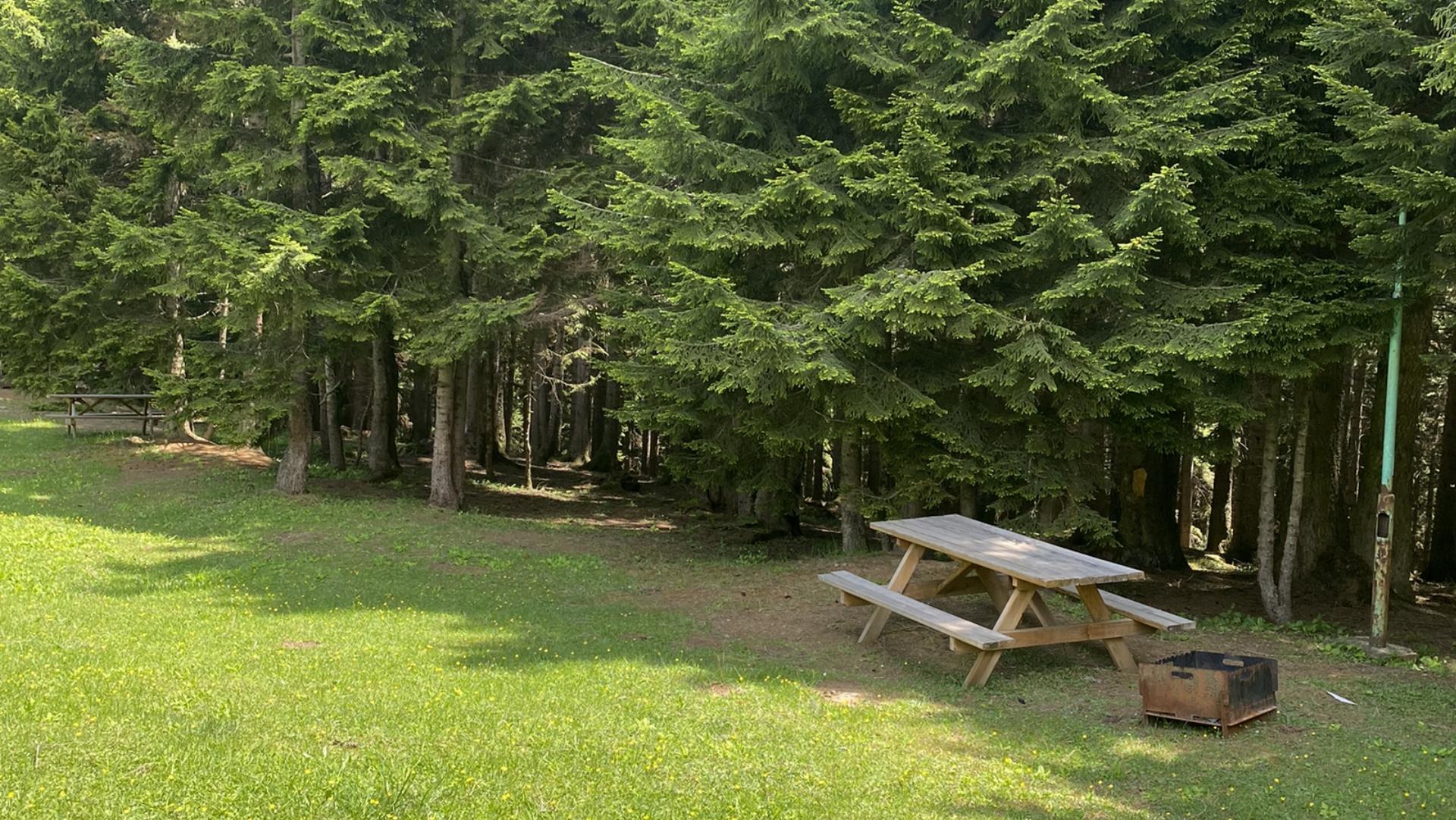 Salon Çayırı Orman Parkı