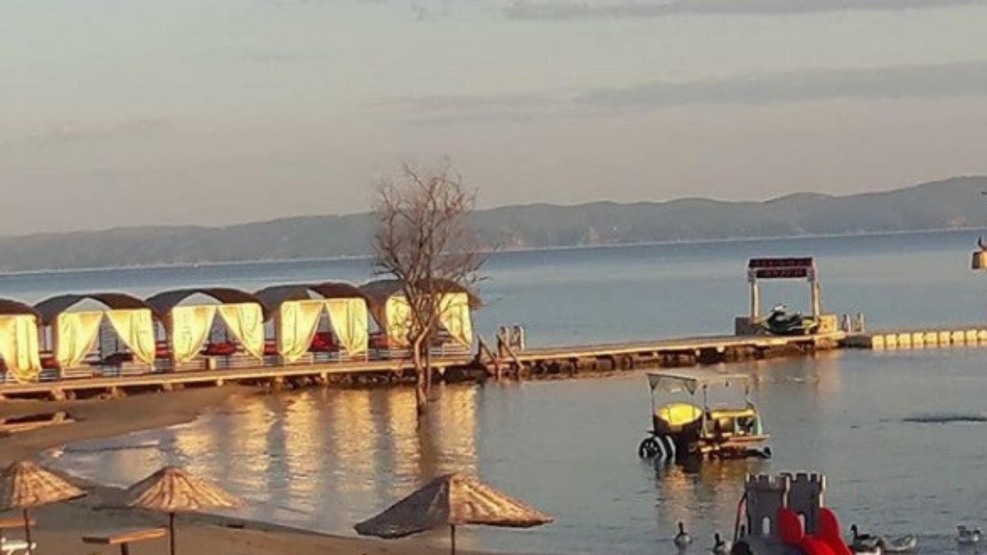 Yayla Orman Parkı