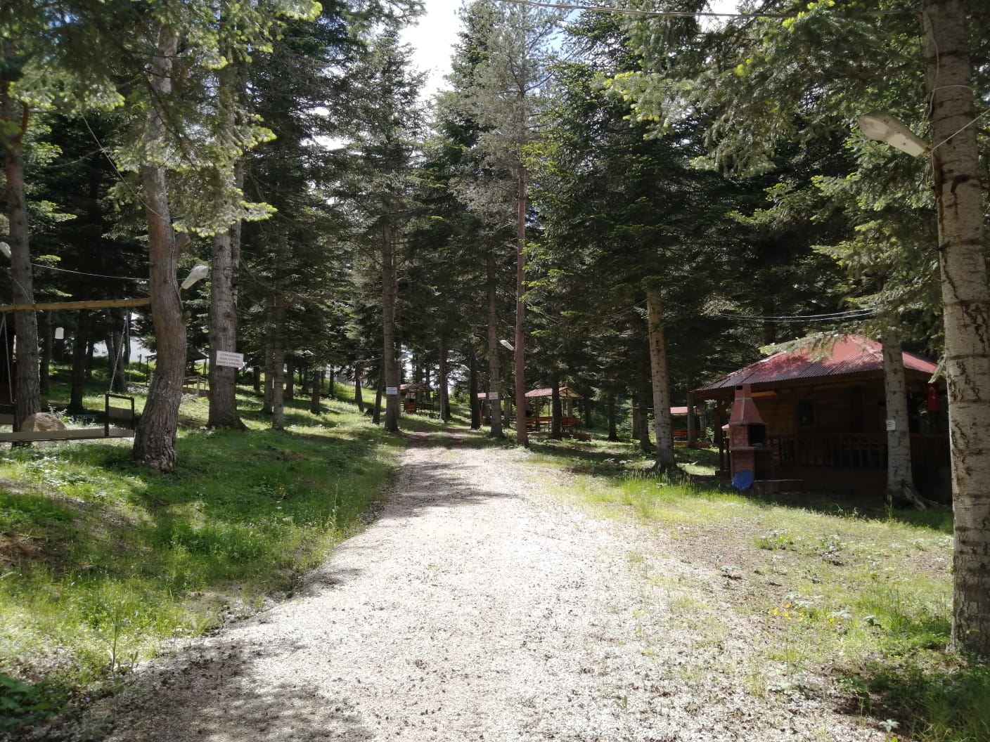 Yeşil Ağlı Orman Parkı