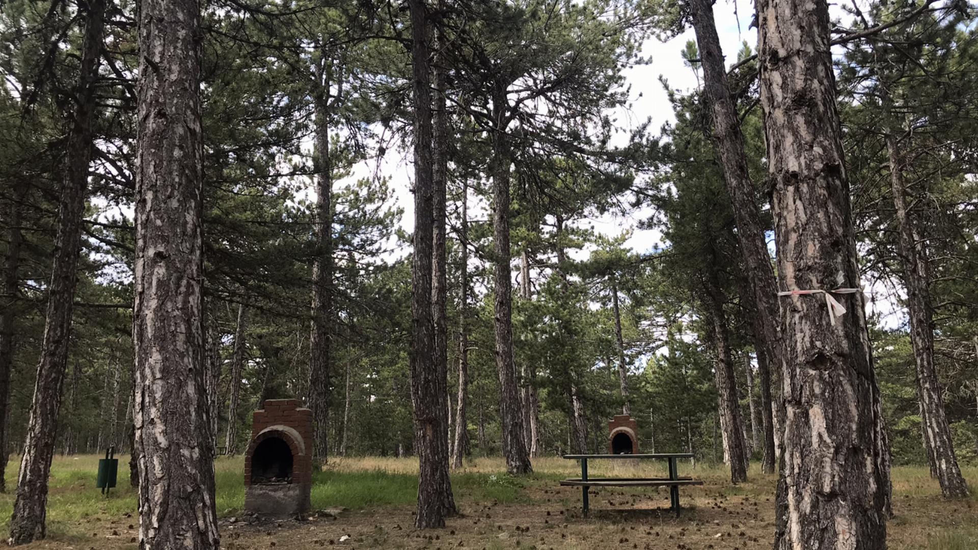 Kalburcu Orman Parkı