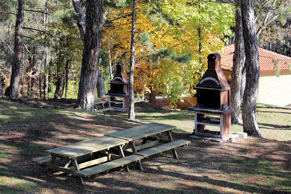 Evrendede Orman Parkı
