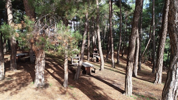 Evrendede Orman Parkı