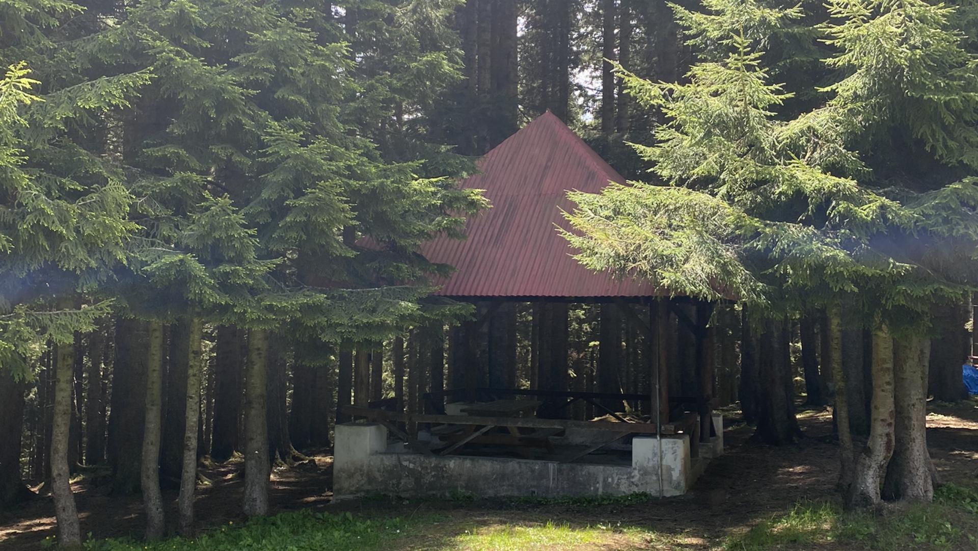 Salon Çayırı Orman Parkı