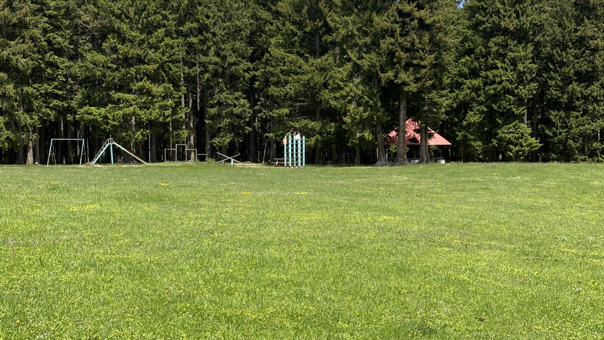 Salon Çayırı Orman Parkı