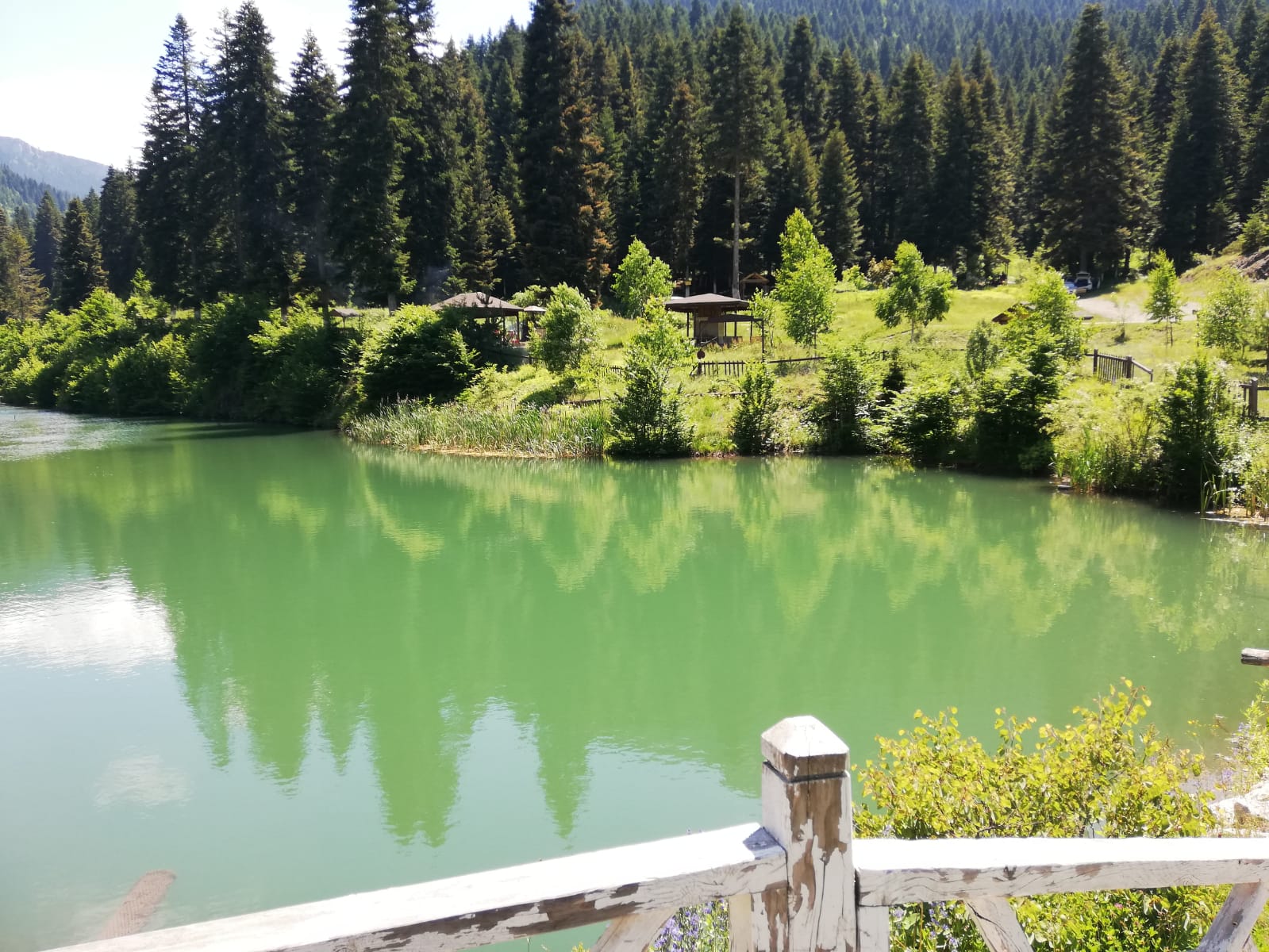 Deresökü Orman Parkı