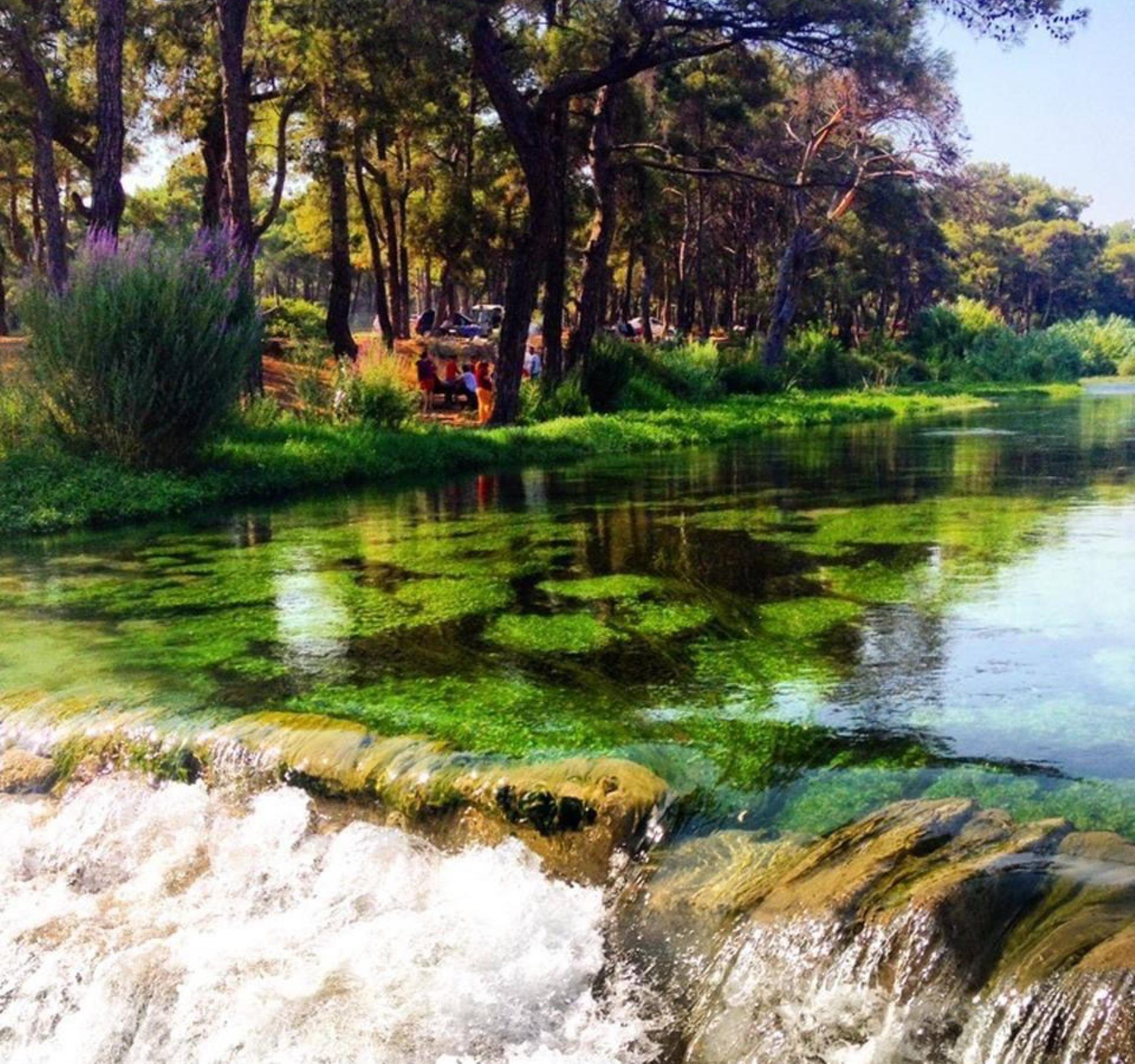 Efeler Park Orman Parkı
