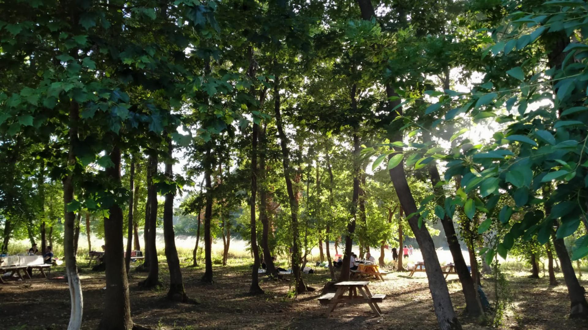 Çiftlikköy Orman Parkı