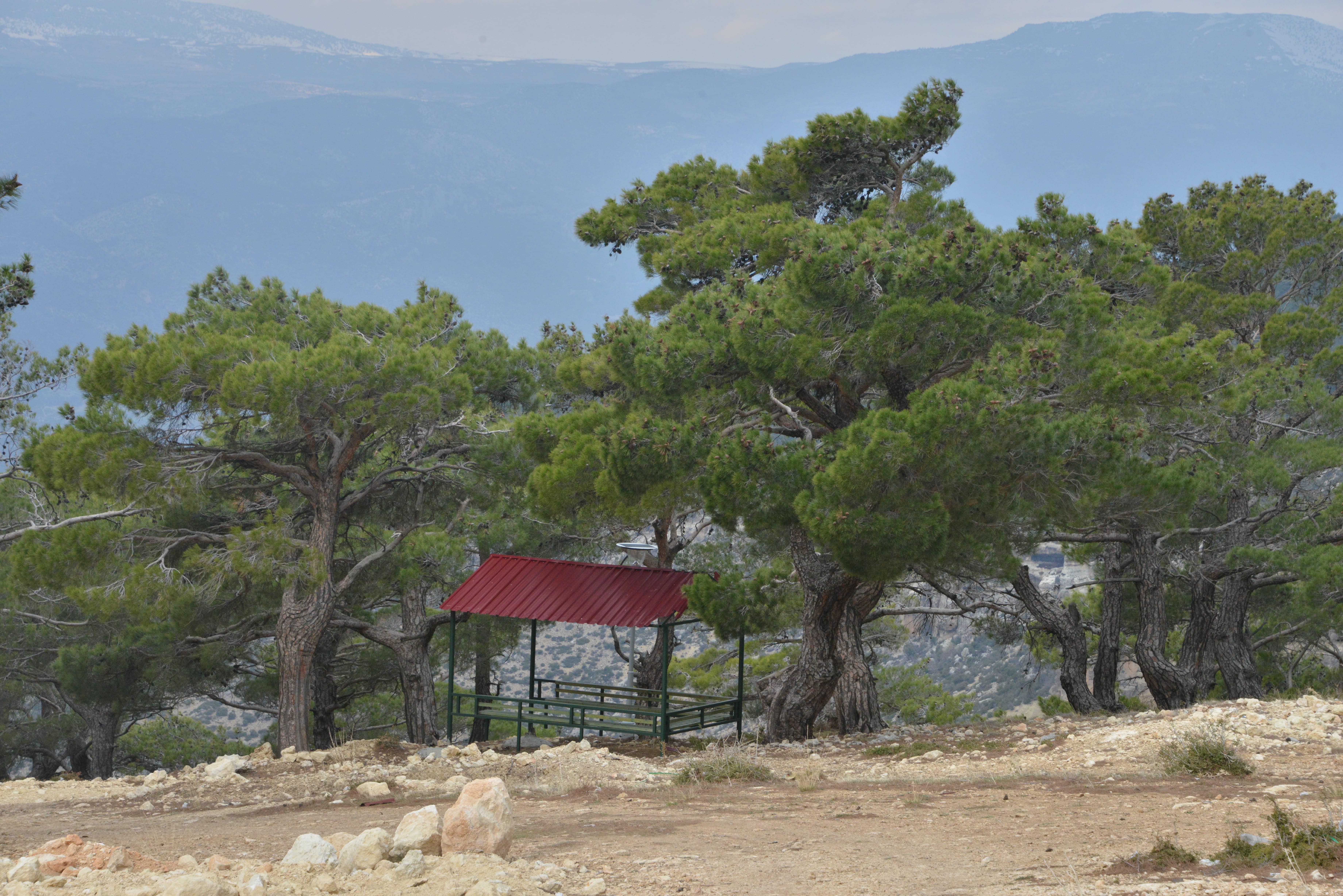 Alahan Orman Parkı