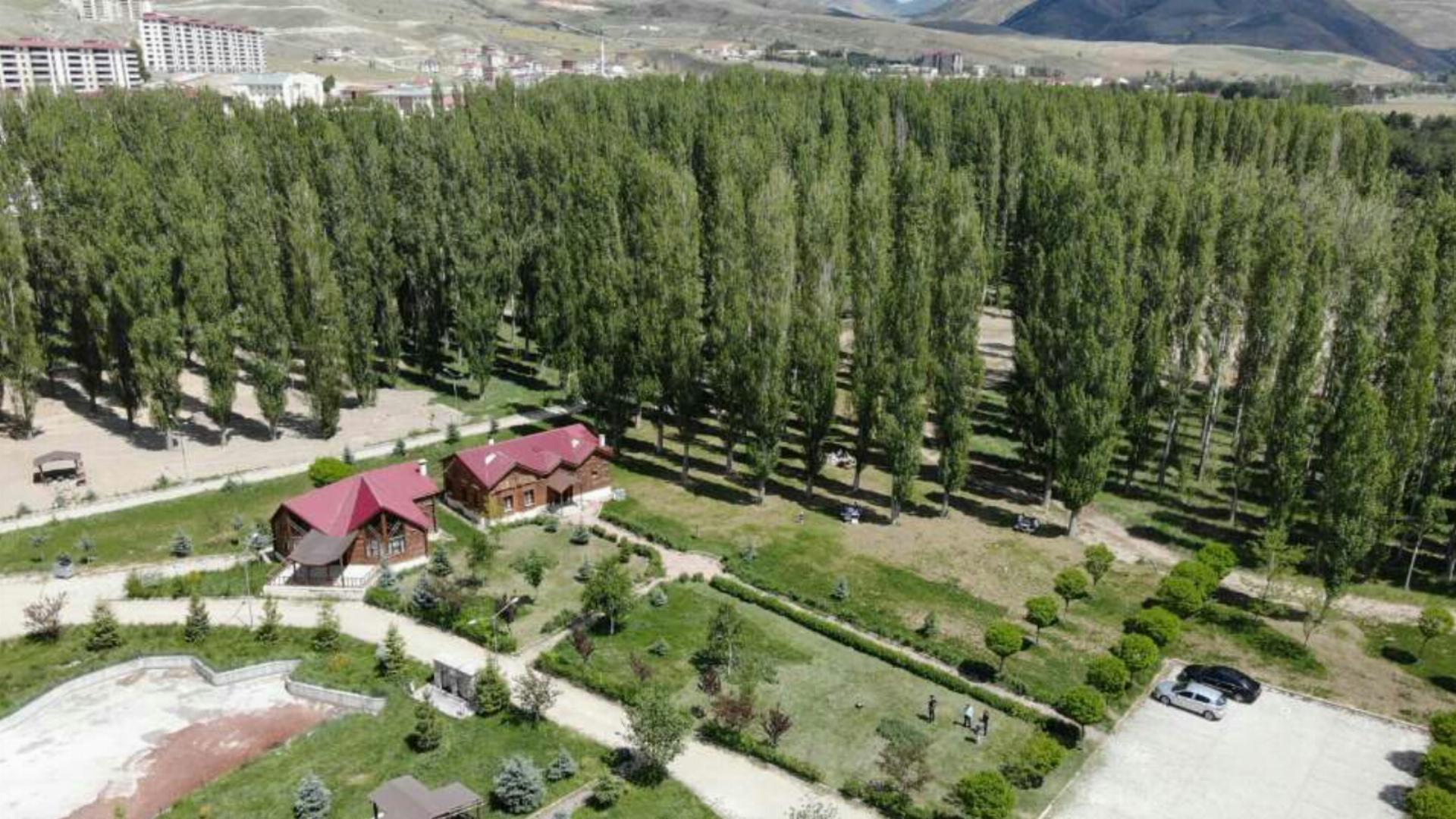 Bayburt Orman Parkı 