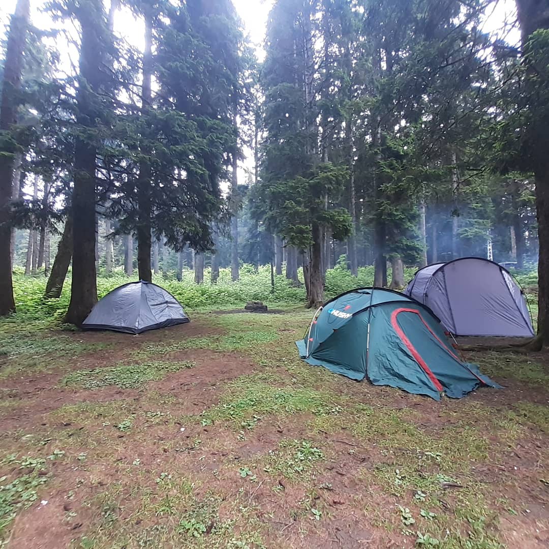 Alçakbel Orman Parkı