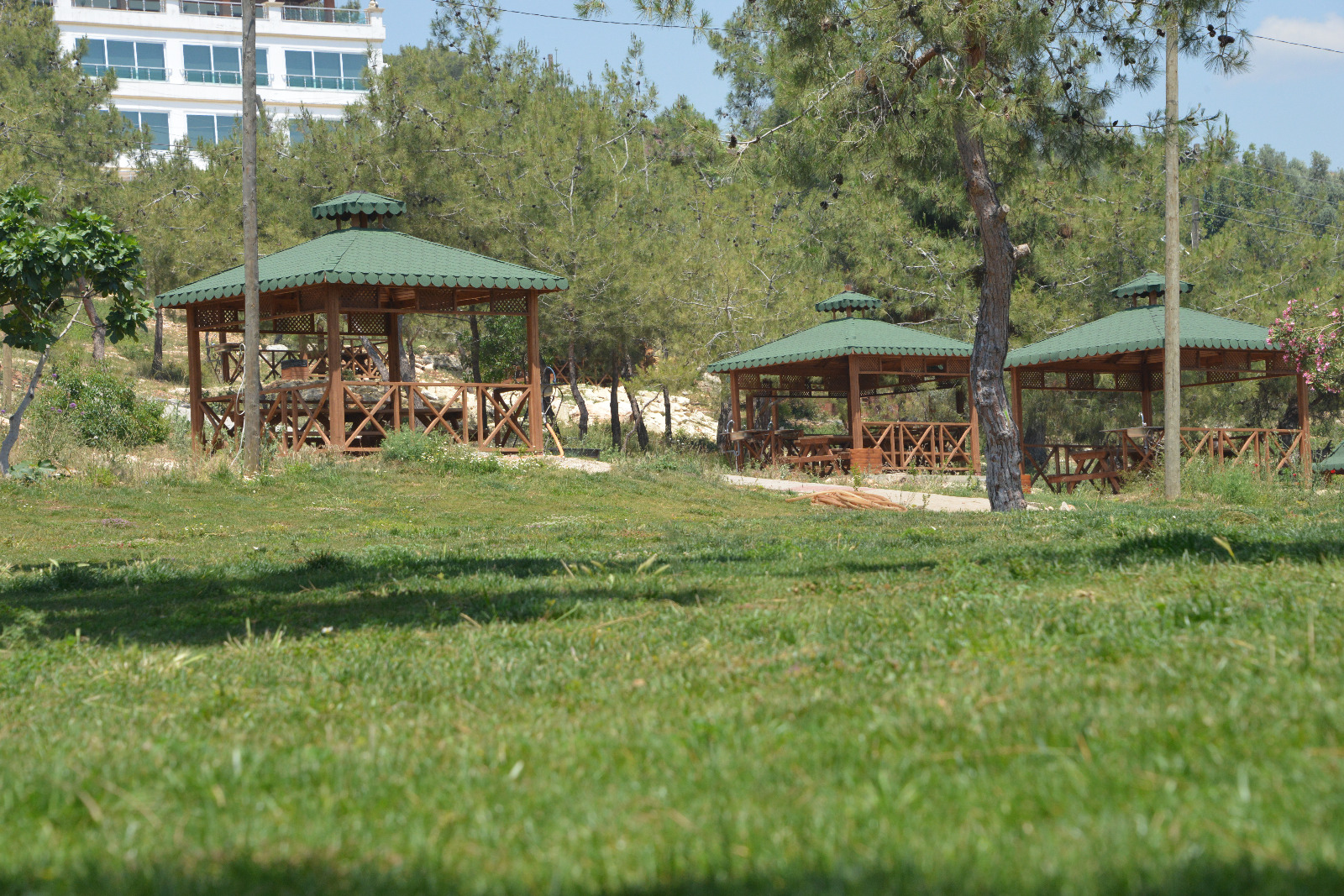 Çopurlu Orman Parkı