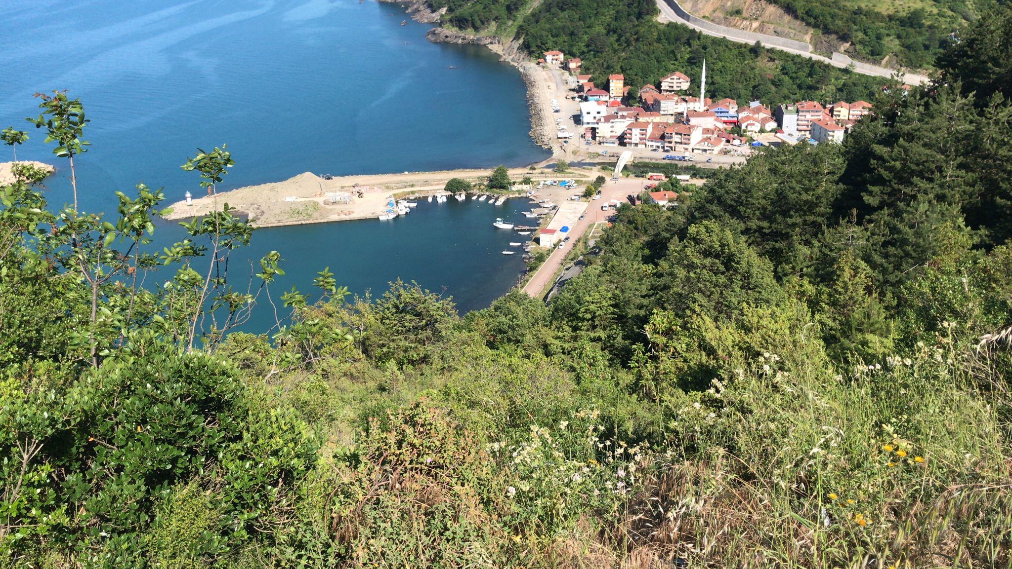Asar Tepe Orman Parkı
