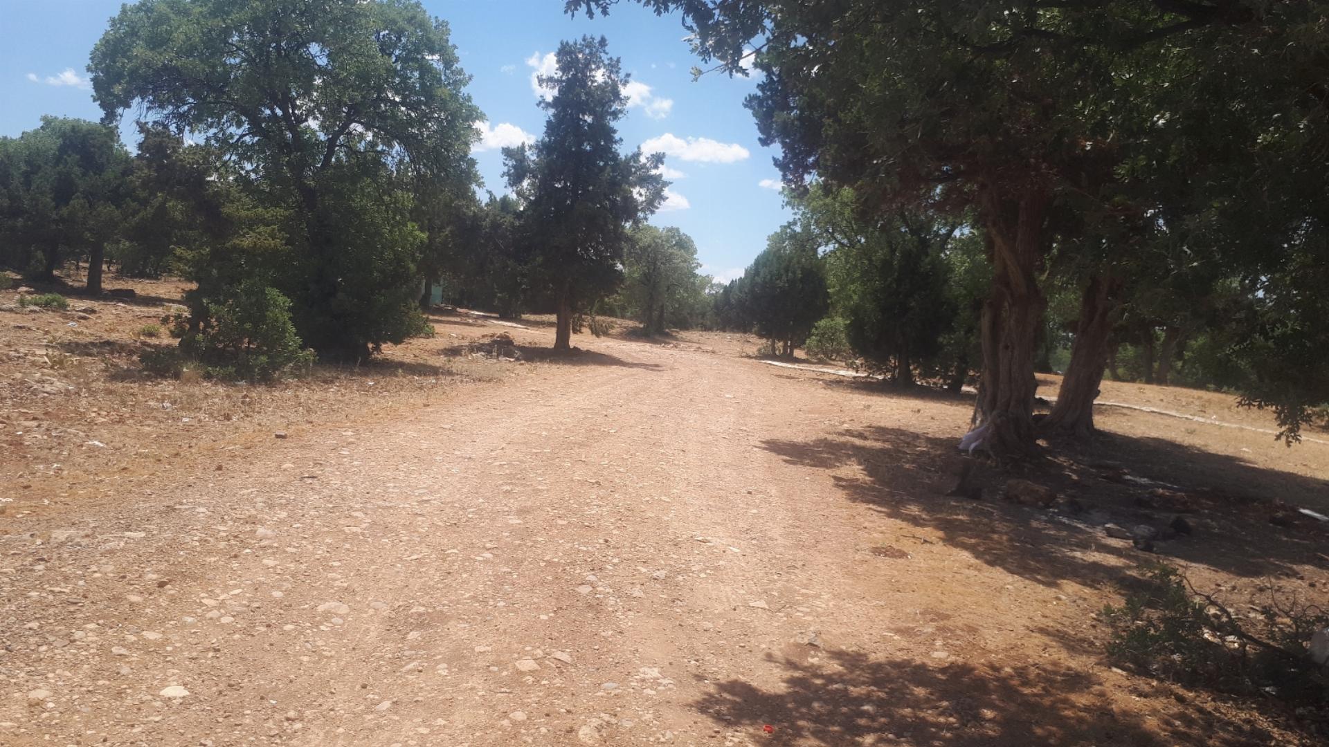 Apa Orman Parkı