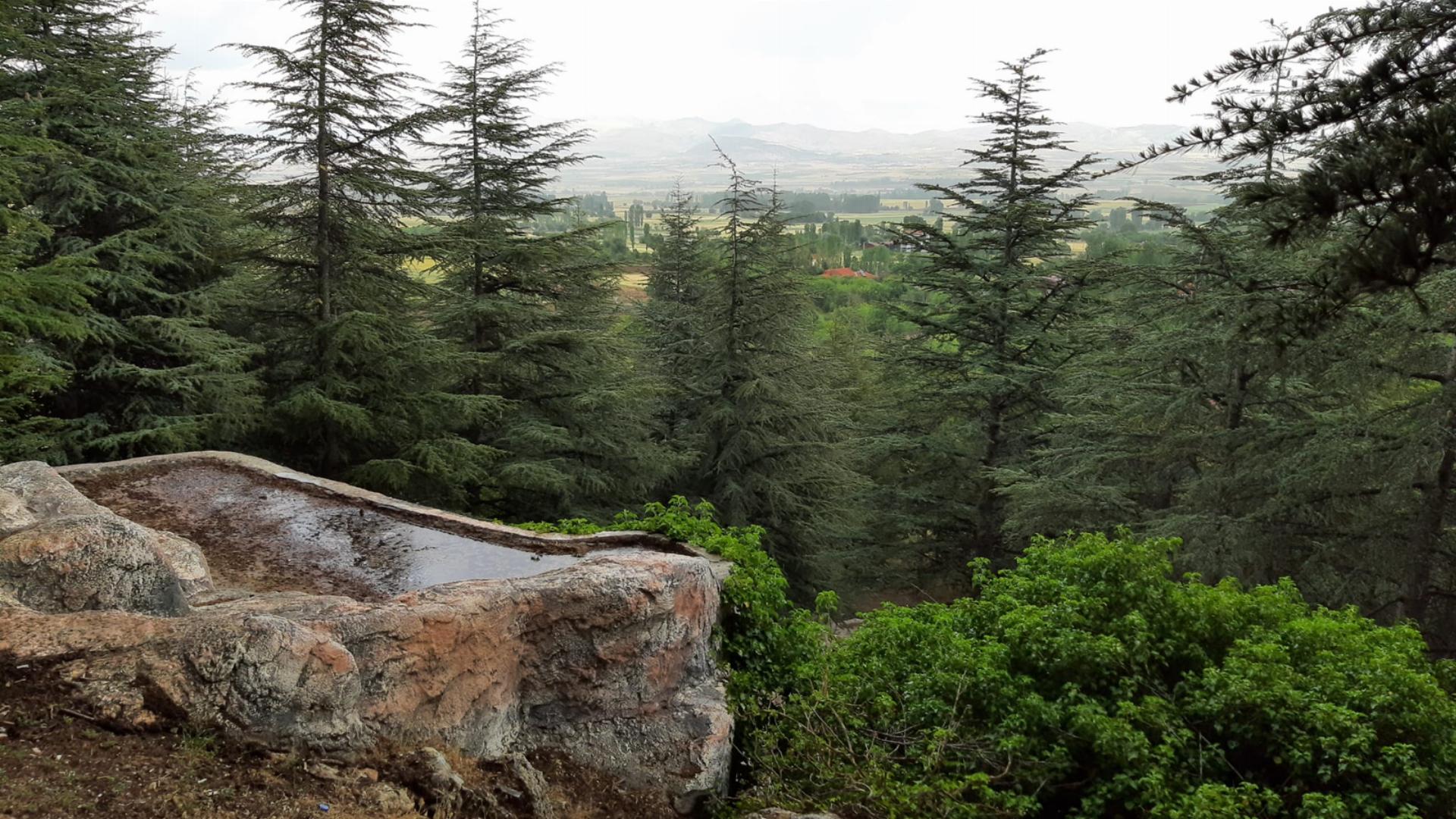 Kızılören Orman Parkı