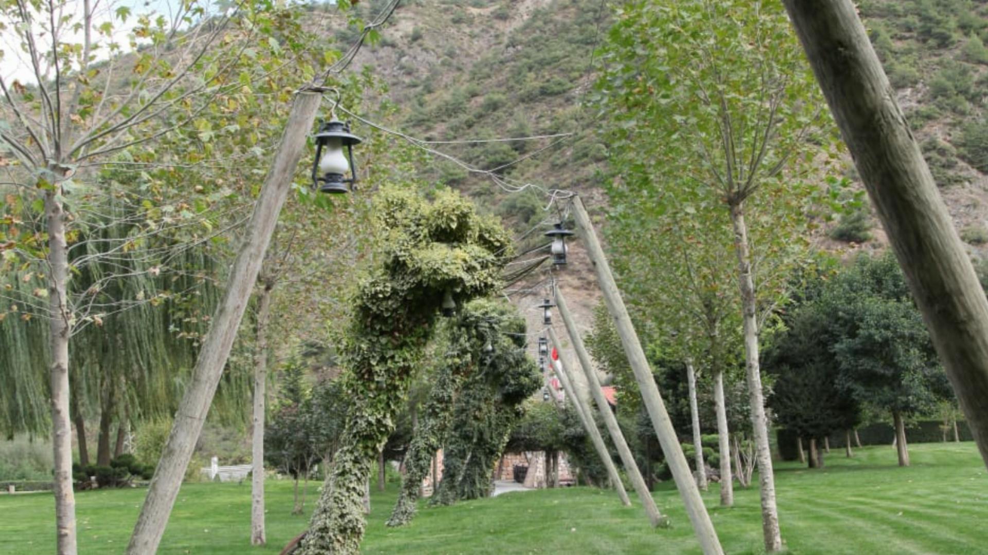 Cennet Vadisi Orman Parkı