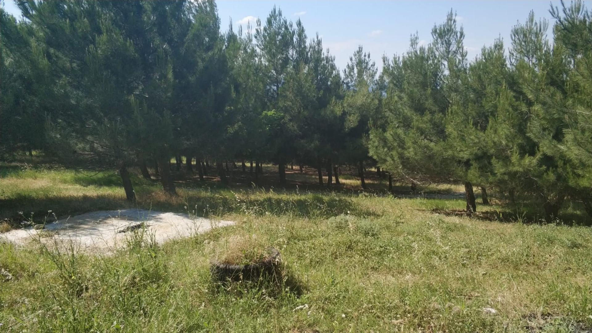 Sülüklüçeşme Orman Parkı