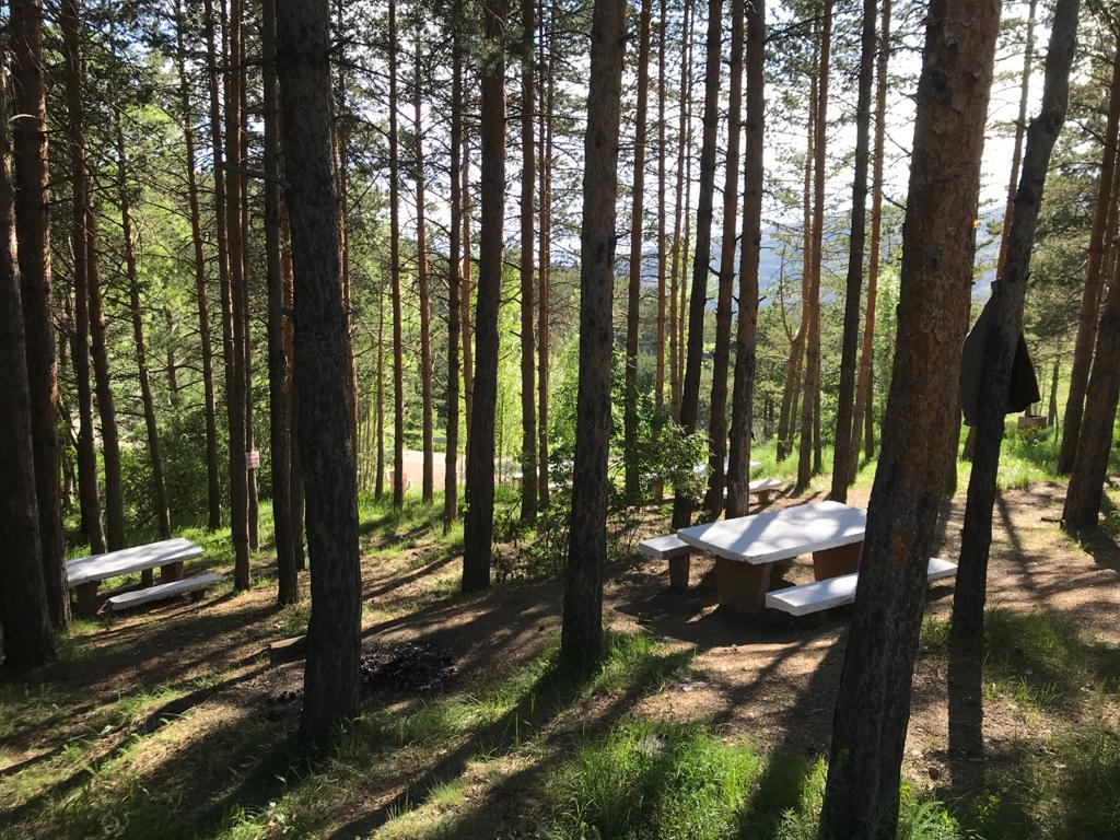 Mecidiye Orman Parkı