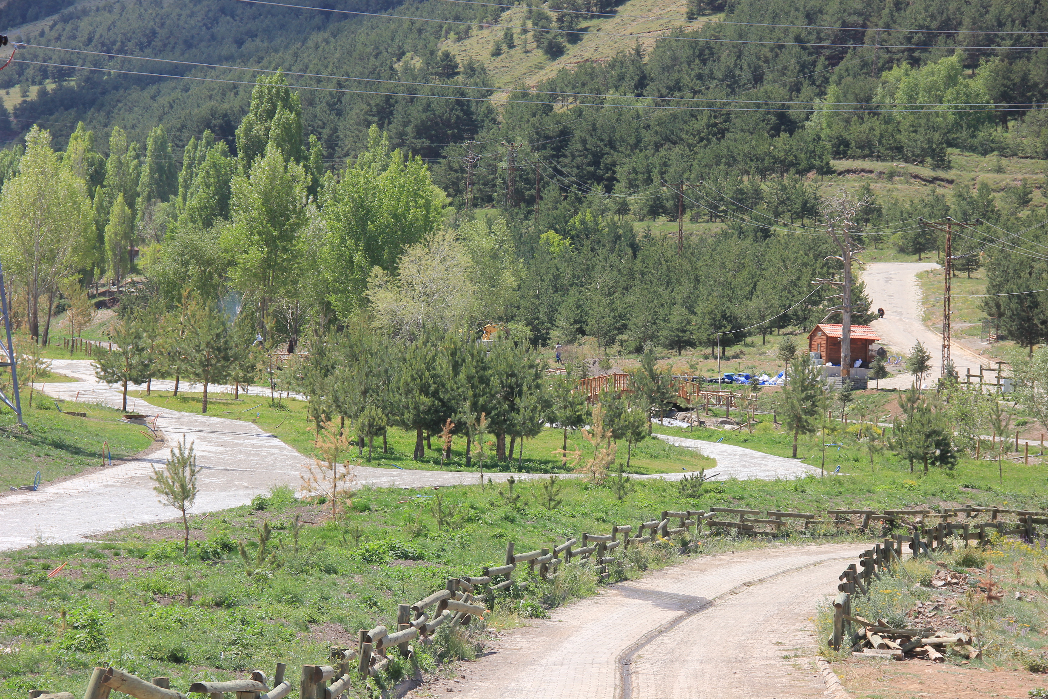 Erzurum Palandöken Orman Parkı