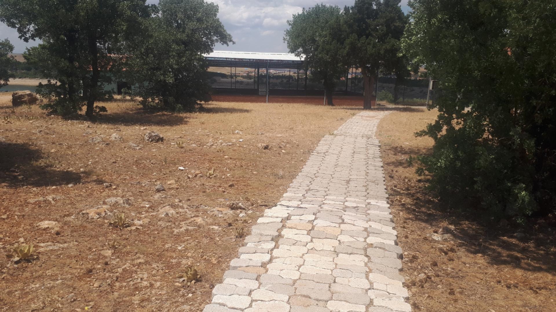 Apa Orman Parkı