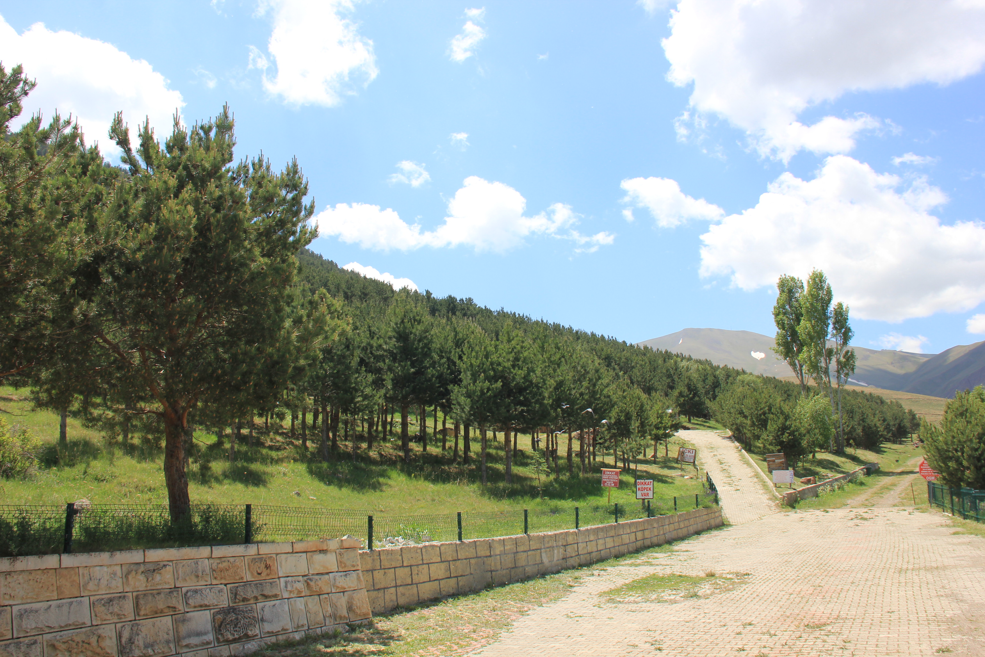 Abdurrahman Gazi Orman Parkı