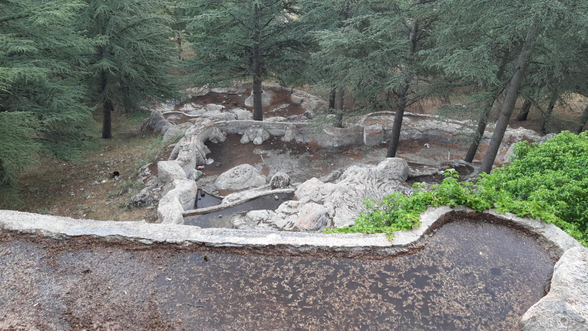 Kızılören Orman Parkı