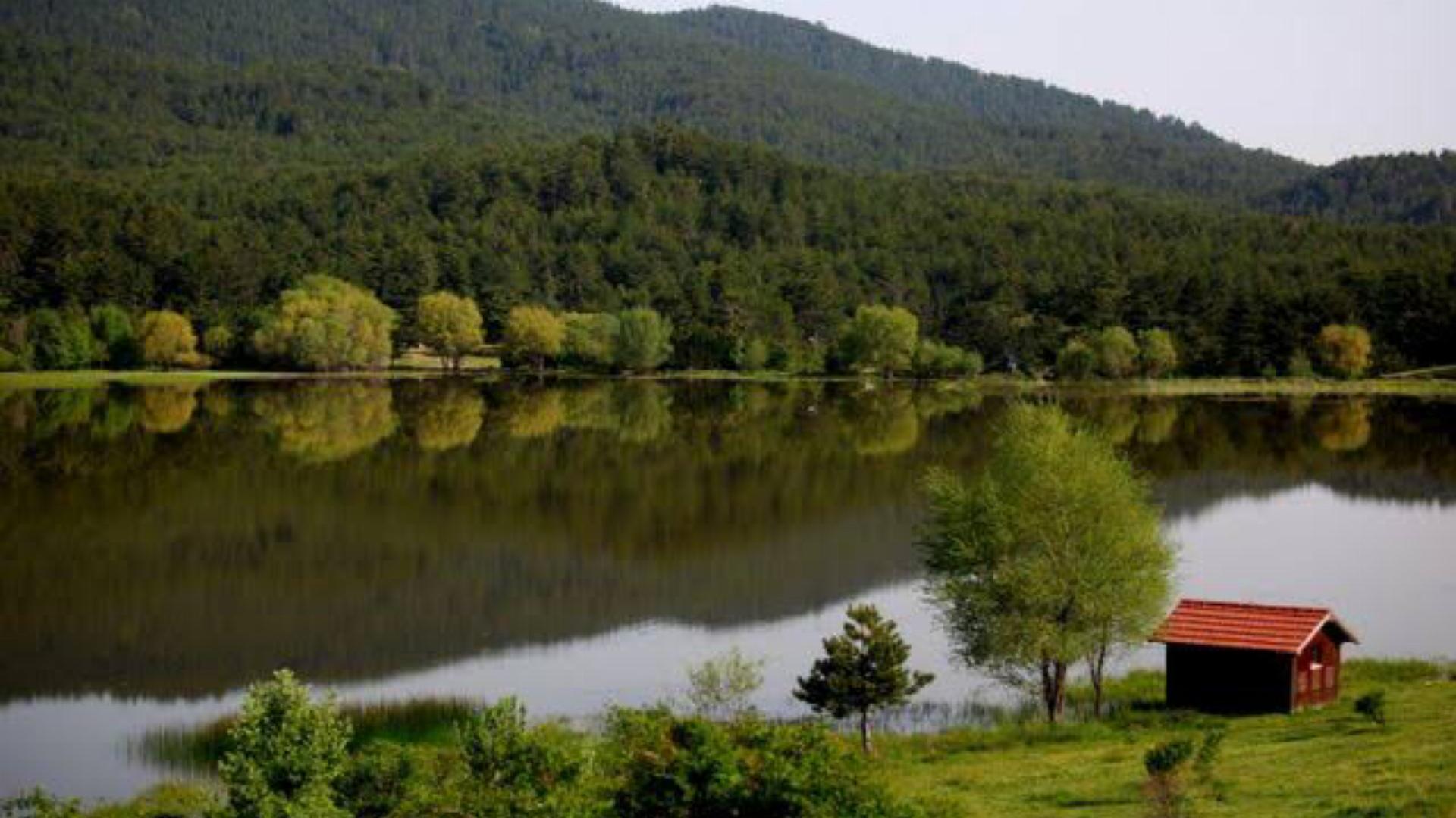 Gölcük Orman Parkı