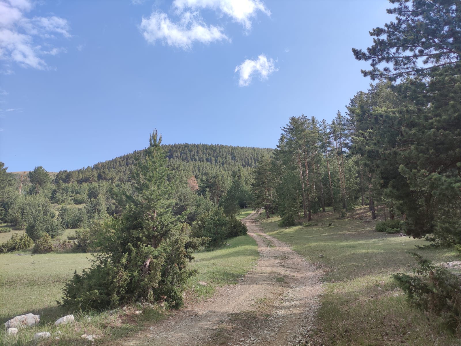 Akdağ Orman Parkı