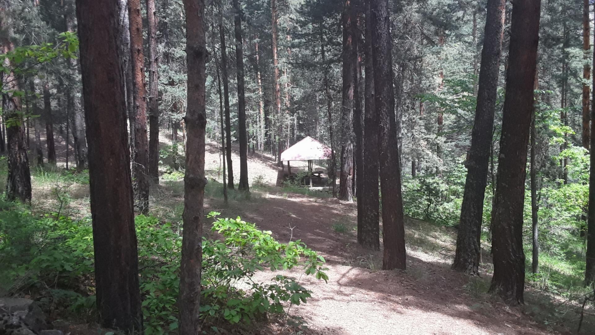 Uzunoluk Orman Parkı