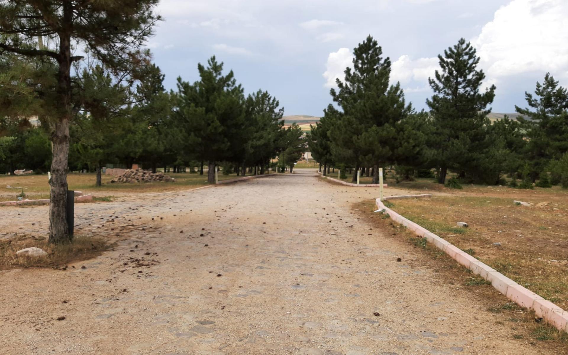 İhsaniye Orman Parkı