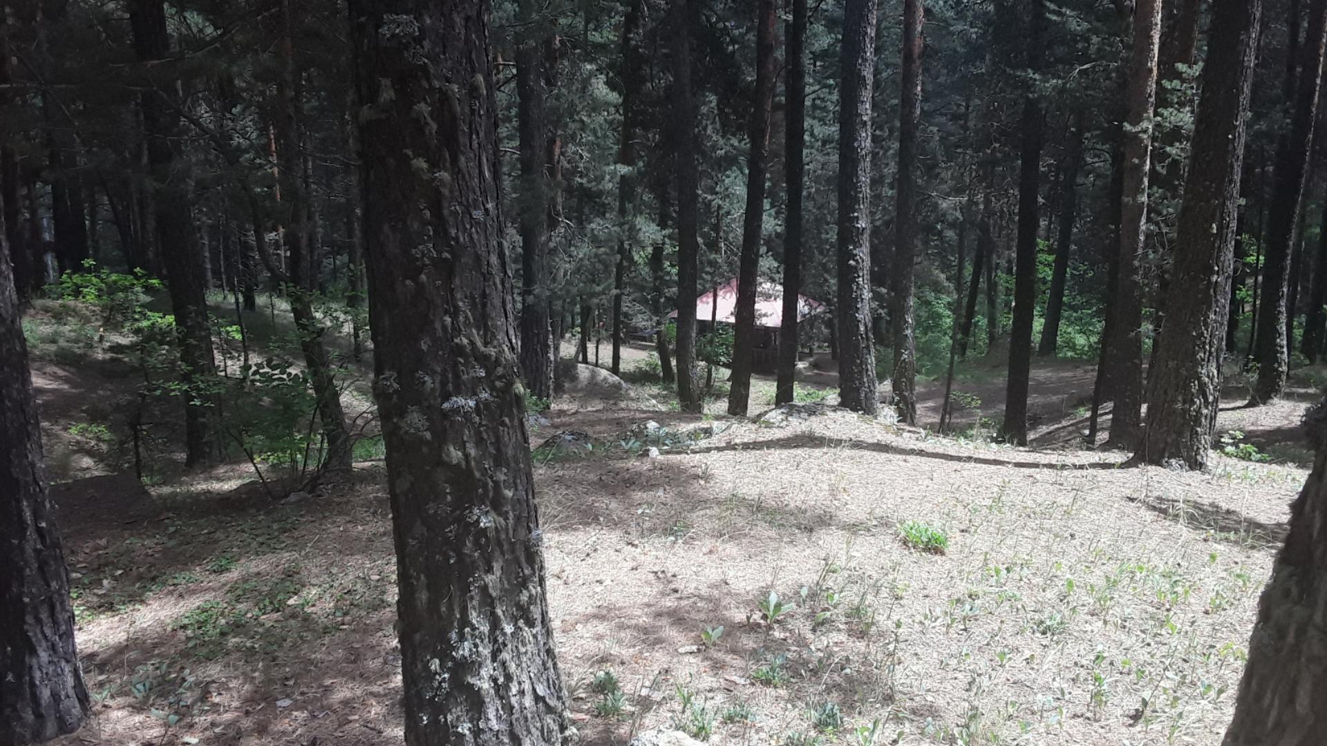 Uzunoluk Orman Parkı