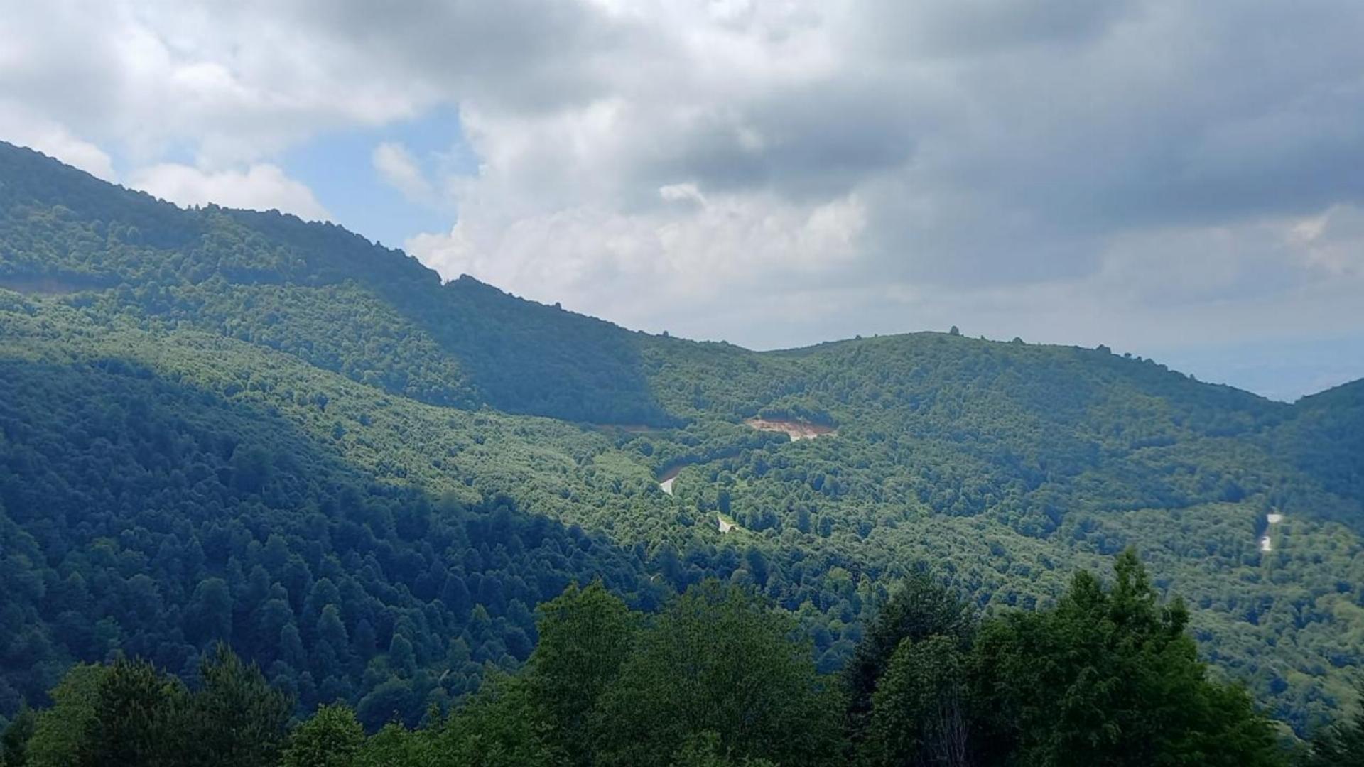 Esentepe Orman Parkı