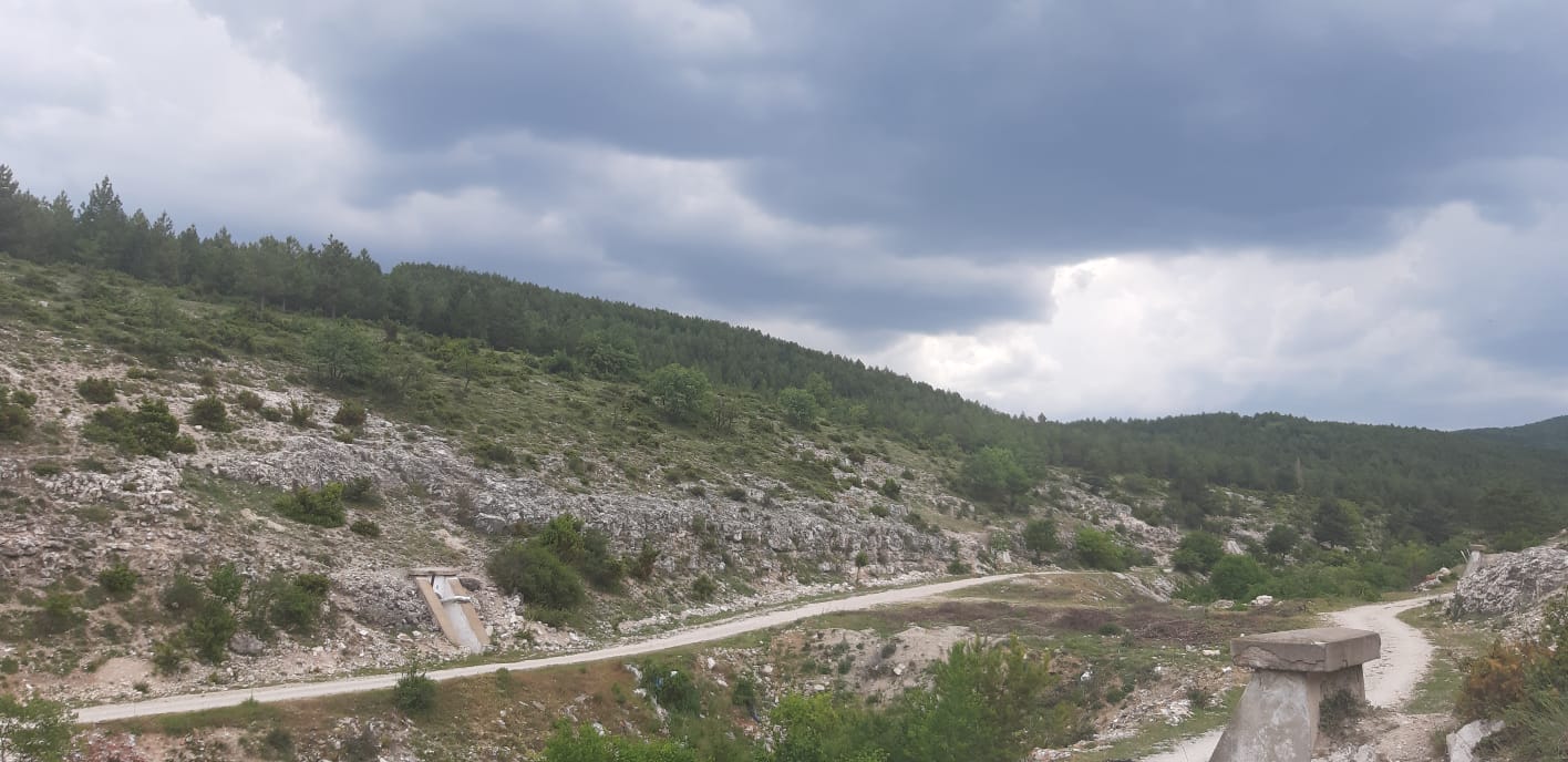 Yellice Dağı Orman Parkı 
