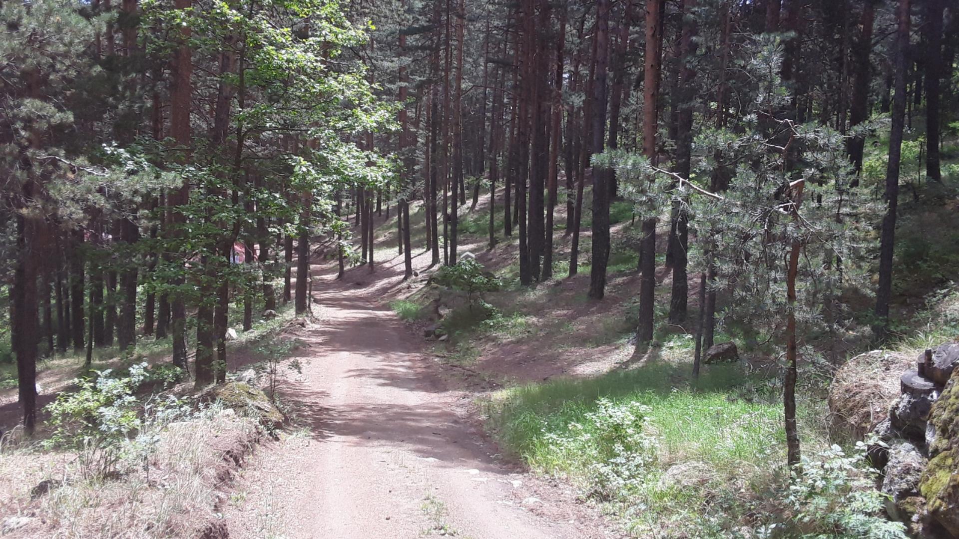 Uzunoluk Orman Parkı