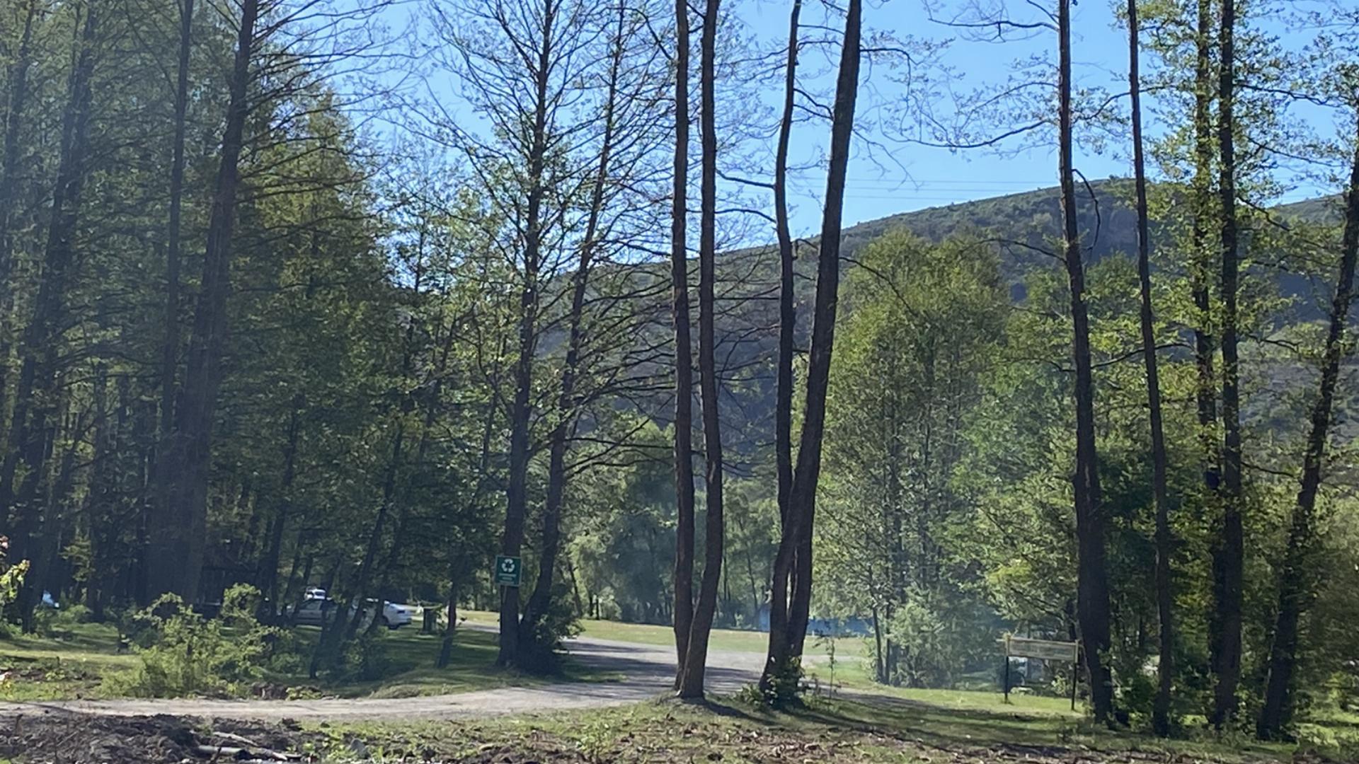 Posof Orman Parkı