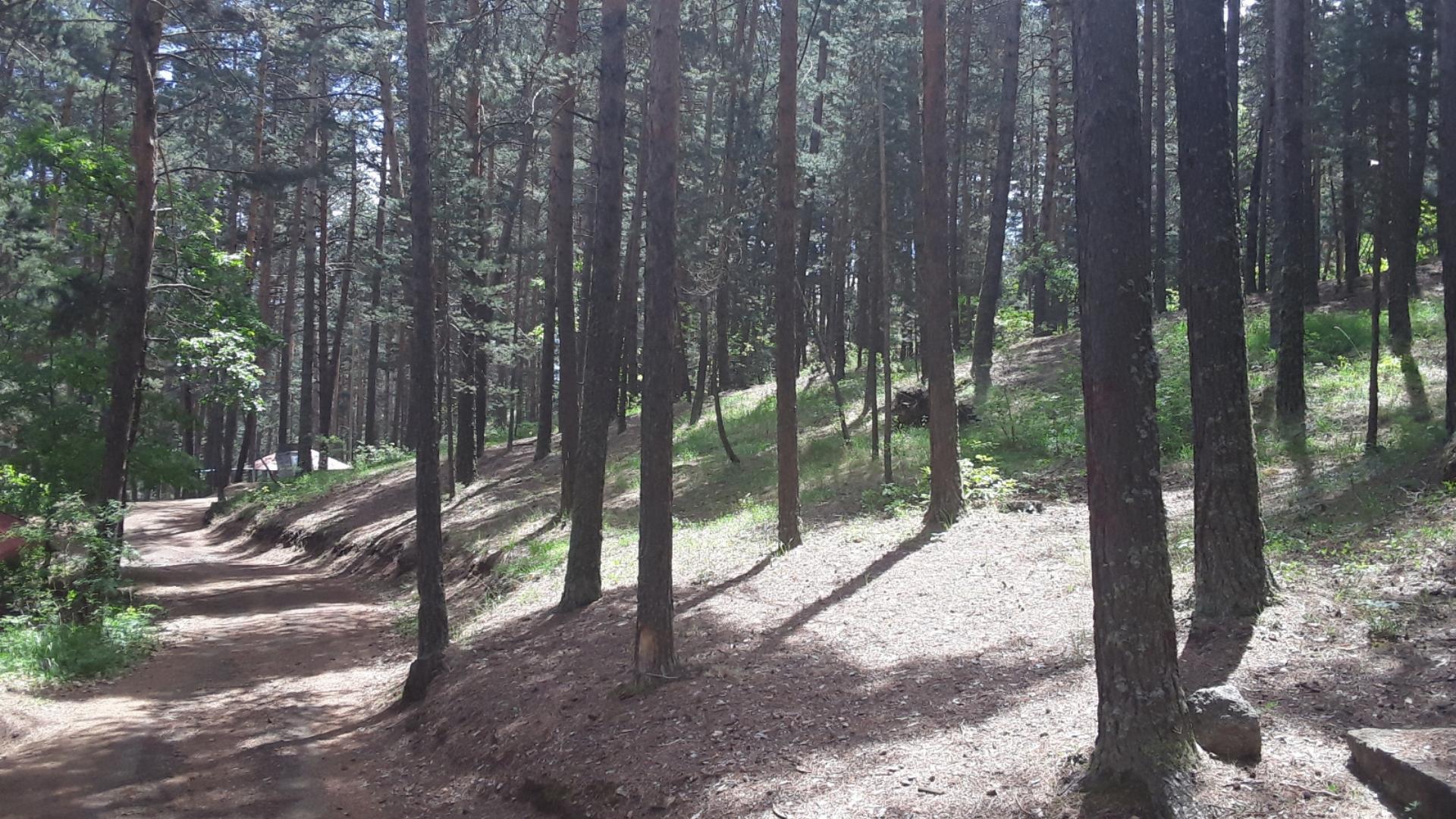 Uzunoluk Orman Parkı