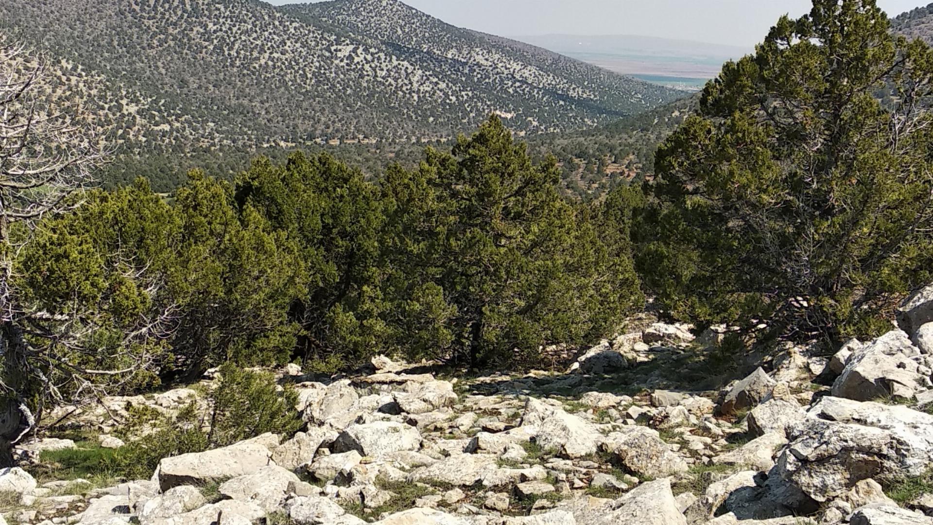 Akkışla Orman Parkı