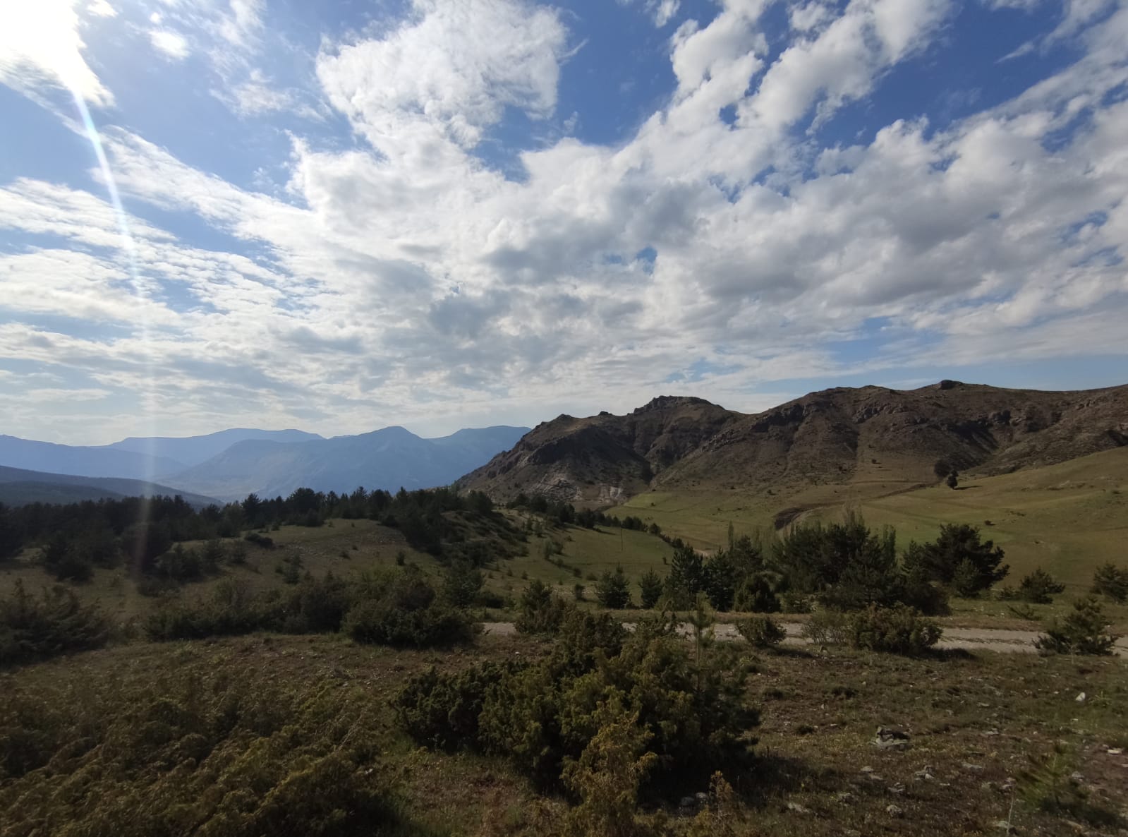 Ardahan Orman Parkı