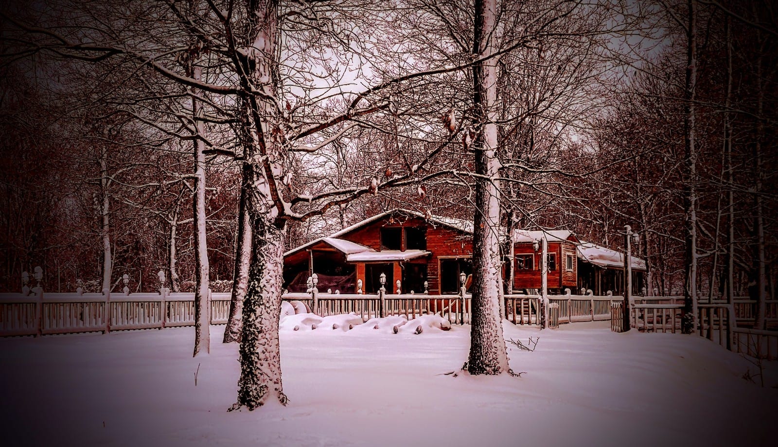 Koçullu Orman Parkı